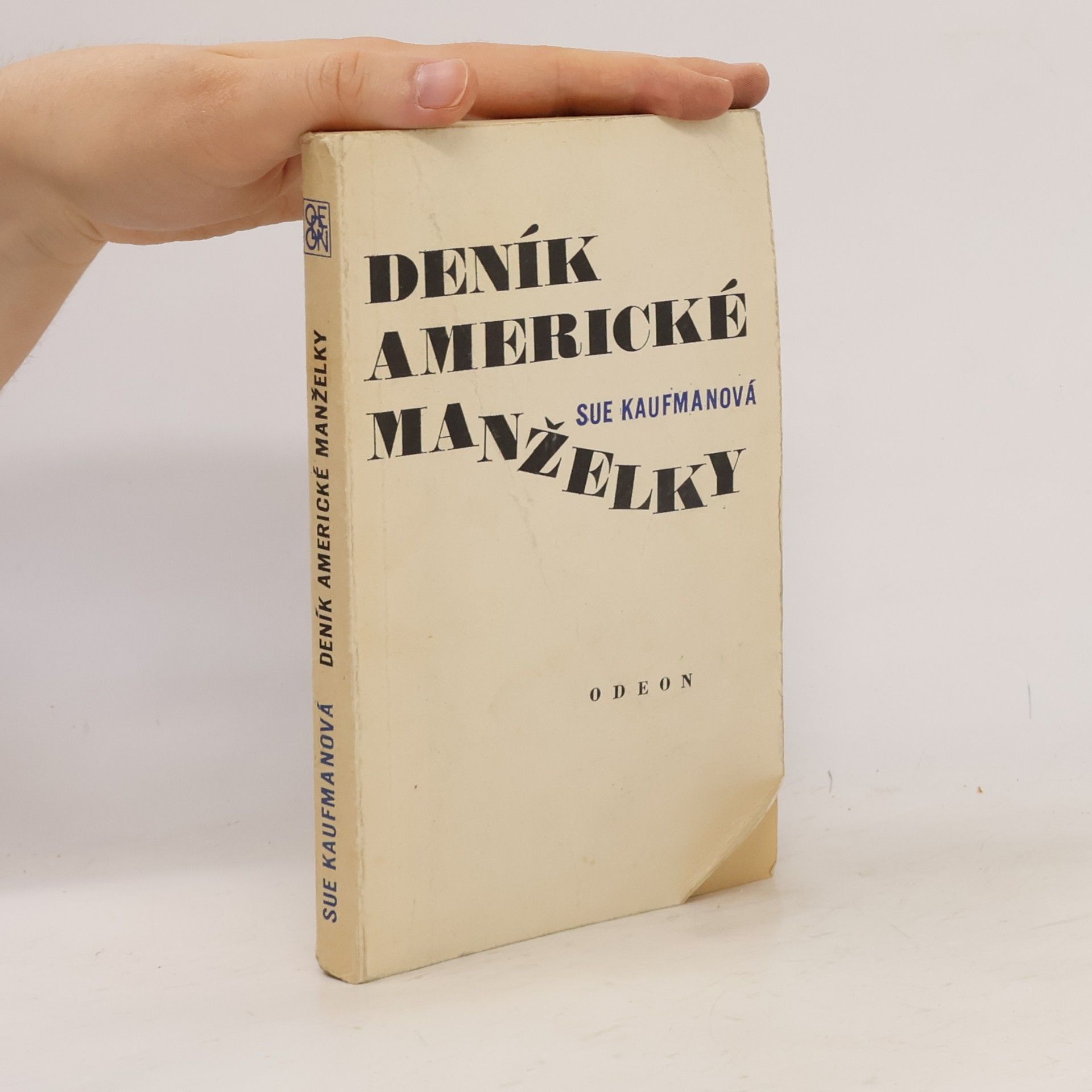 Sue Kaufman Deník americké manželky