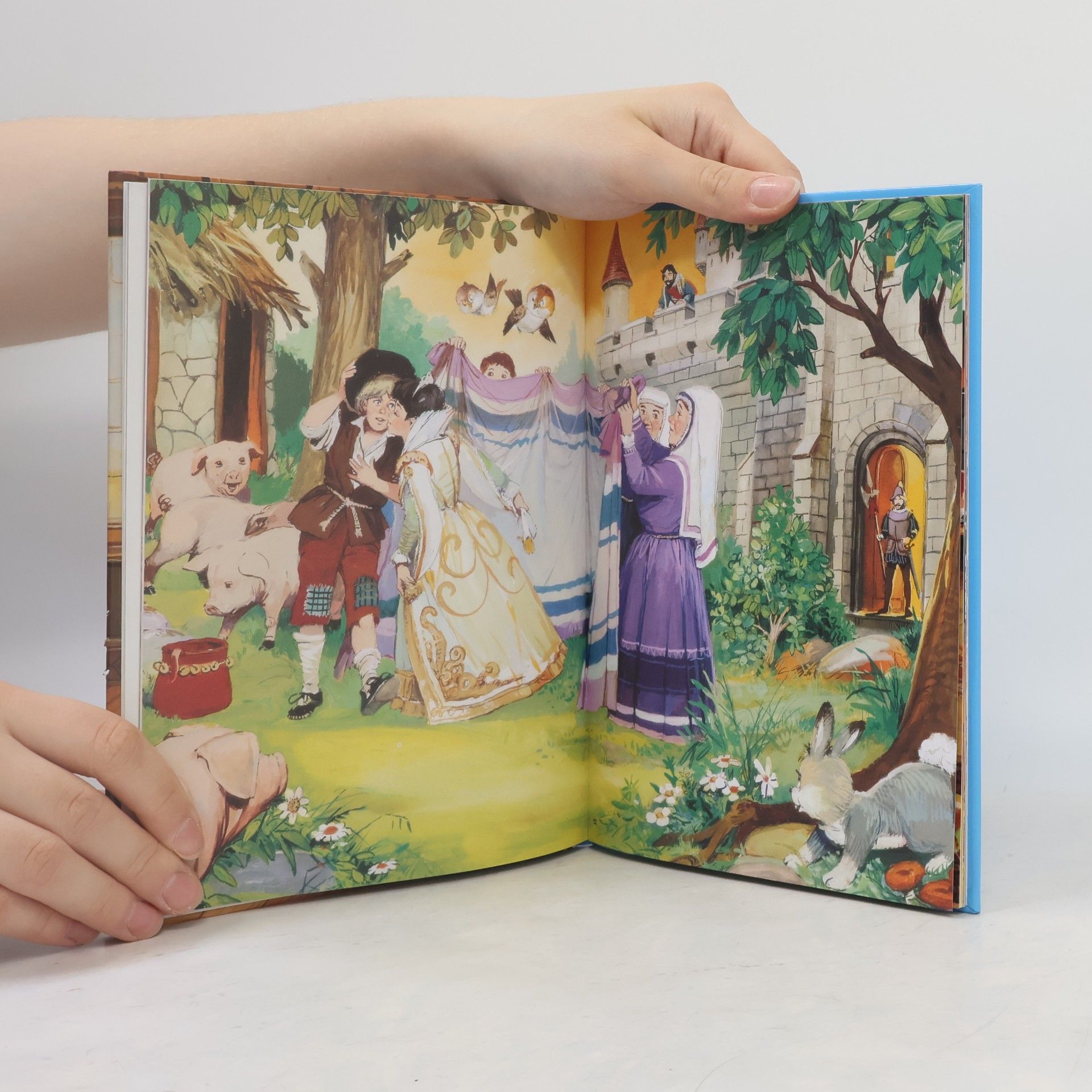 Autorenkollektiv Princezna na hrášku a jiné pohádky