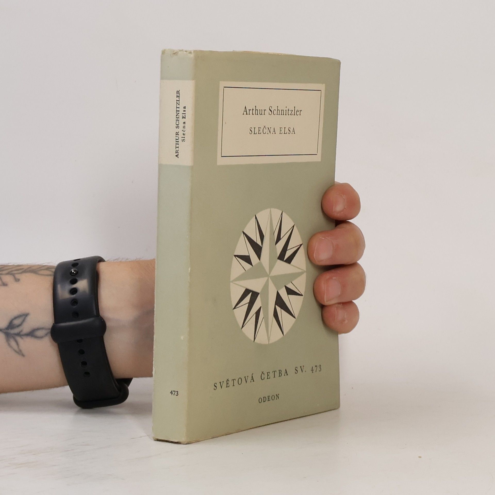Arthur Schnitzler Slečna Elsa