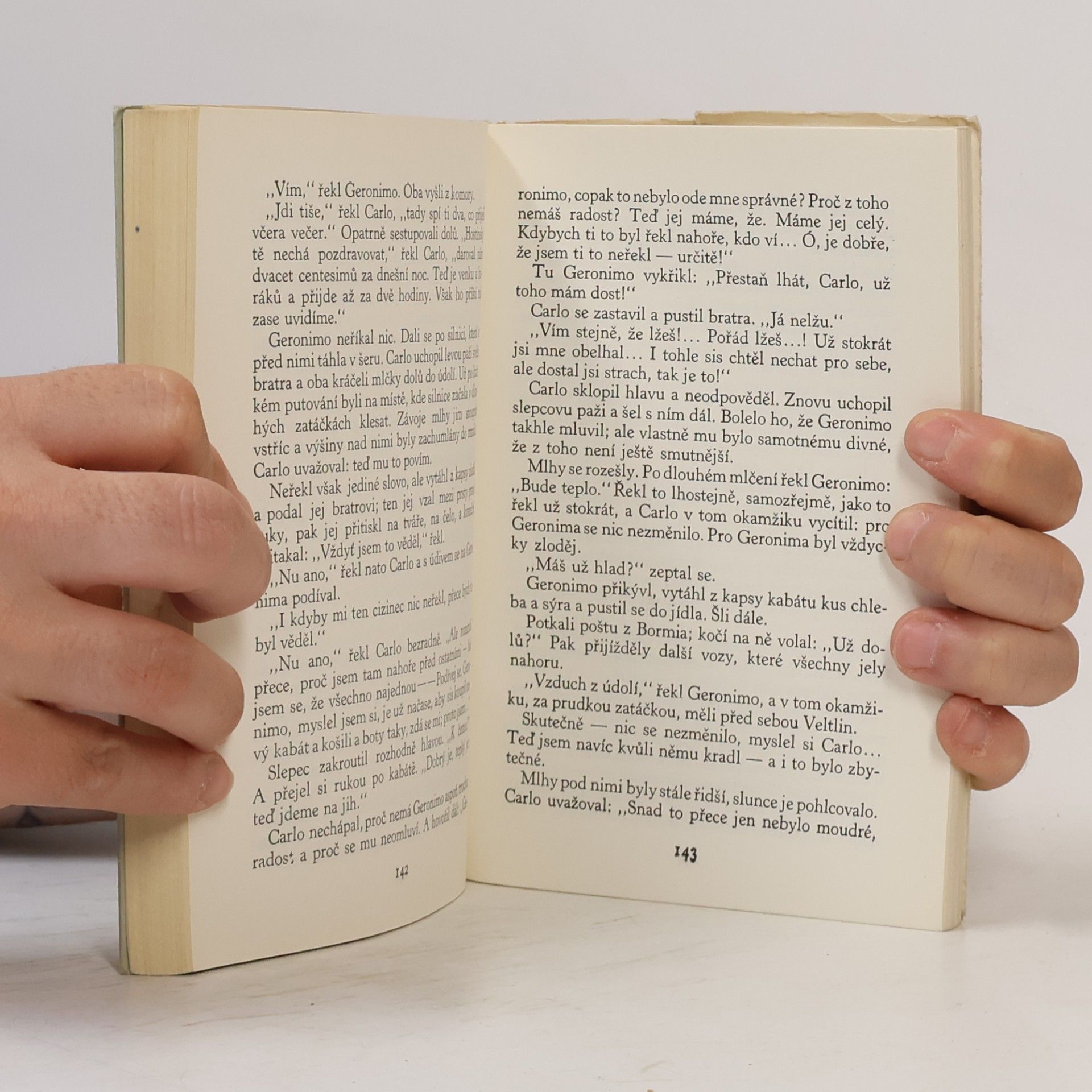 Arthur Schnitzler Slečna Elsa