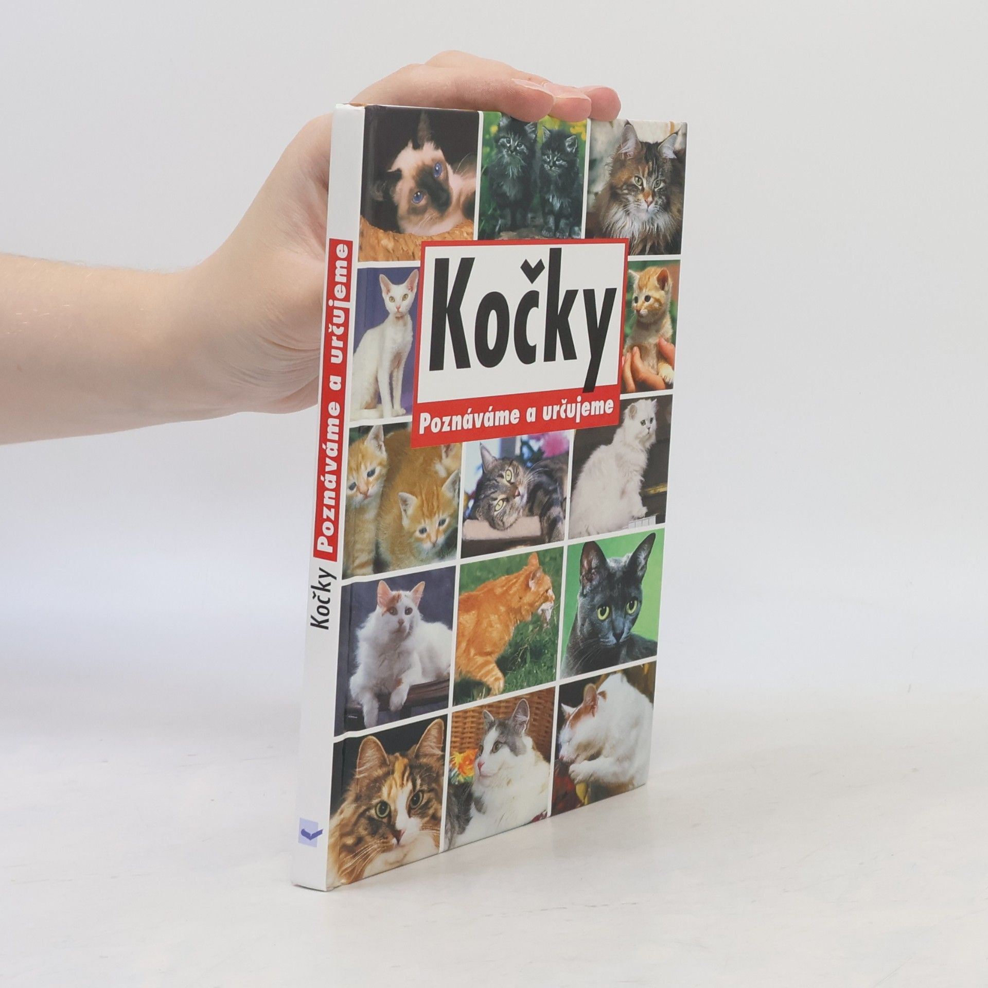 Kolektiv autorů Kočky. Poznáváme a určujeme.