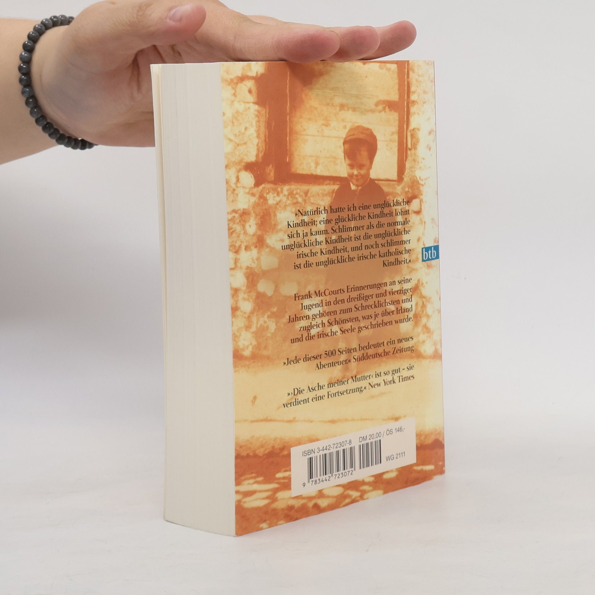 Frank McCourt Die Asche meiner Mutter