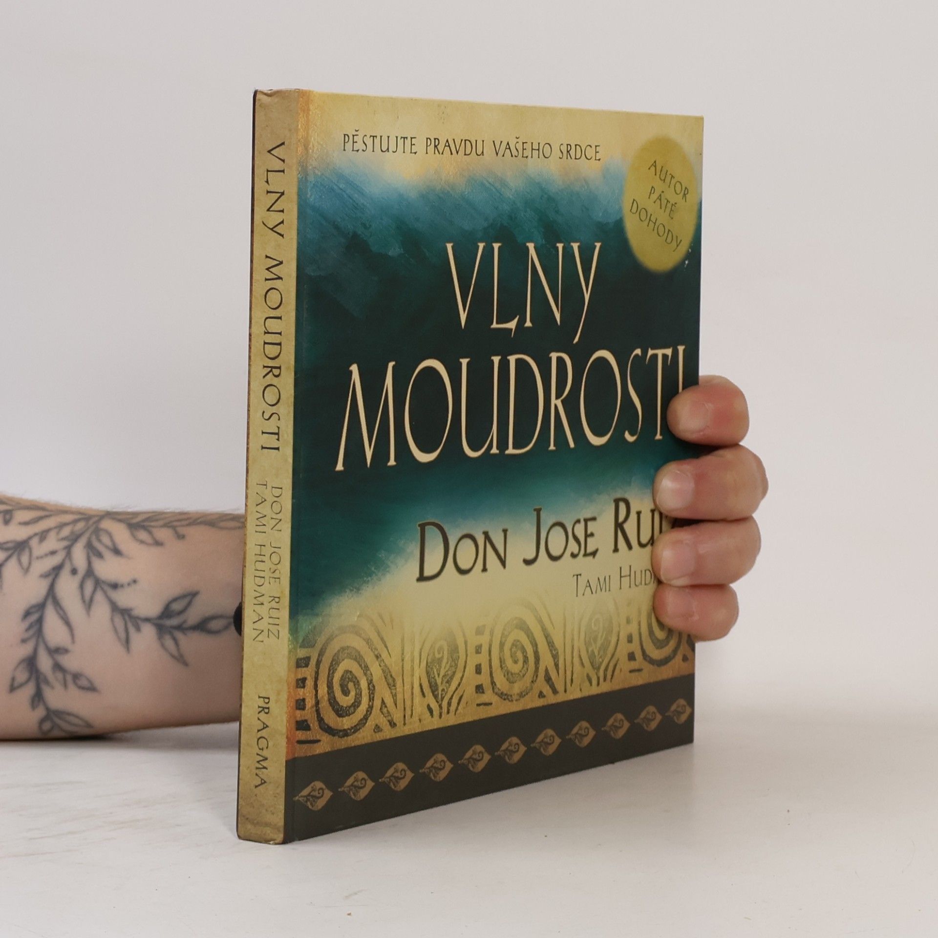 Tami Hudman Vlny moudrosti
