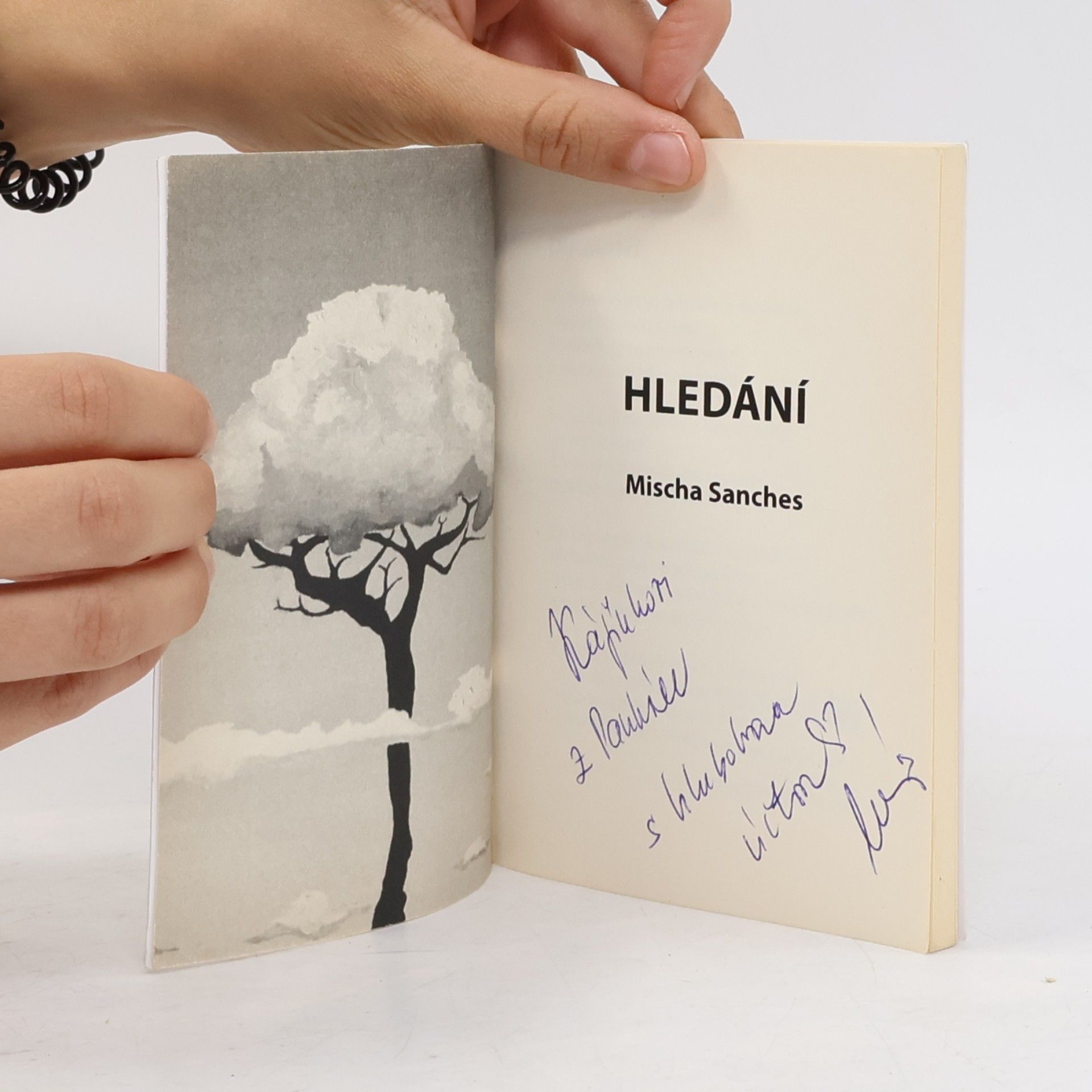 Mischa Sanches Hledání
