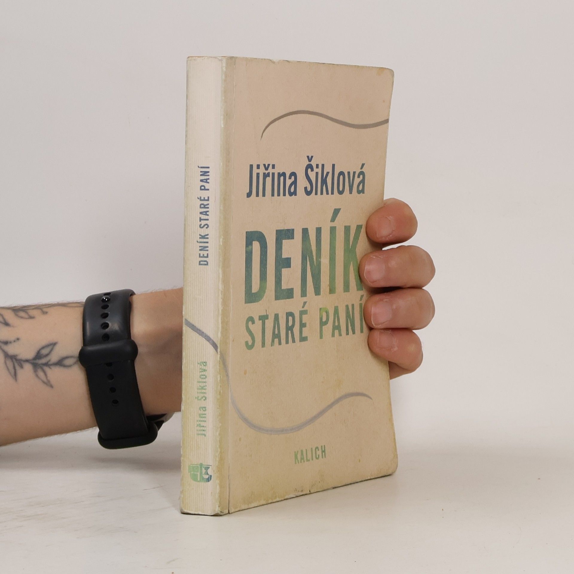 Jiřina Šiklová Deník staré paní