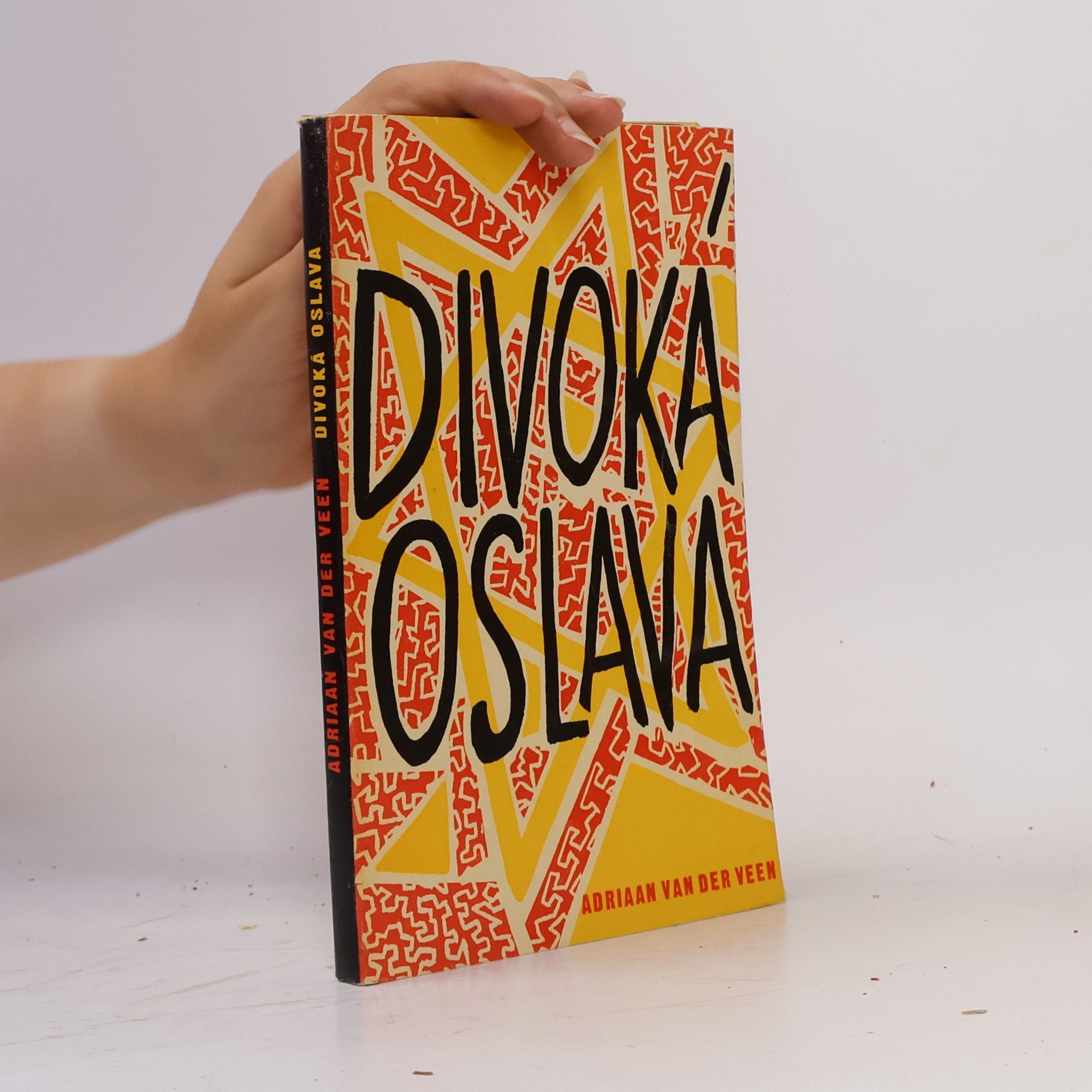 Adriaan van der Veen Divoká oslava