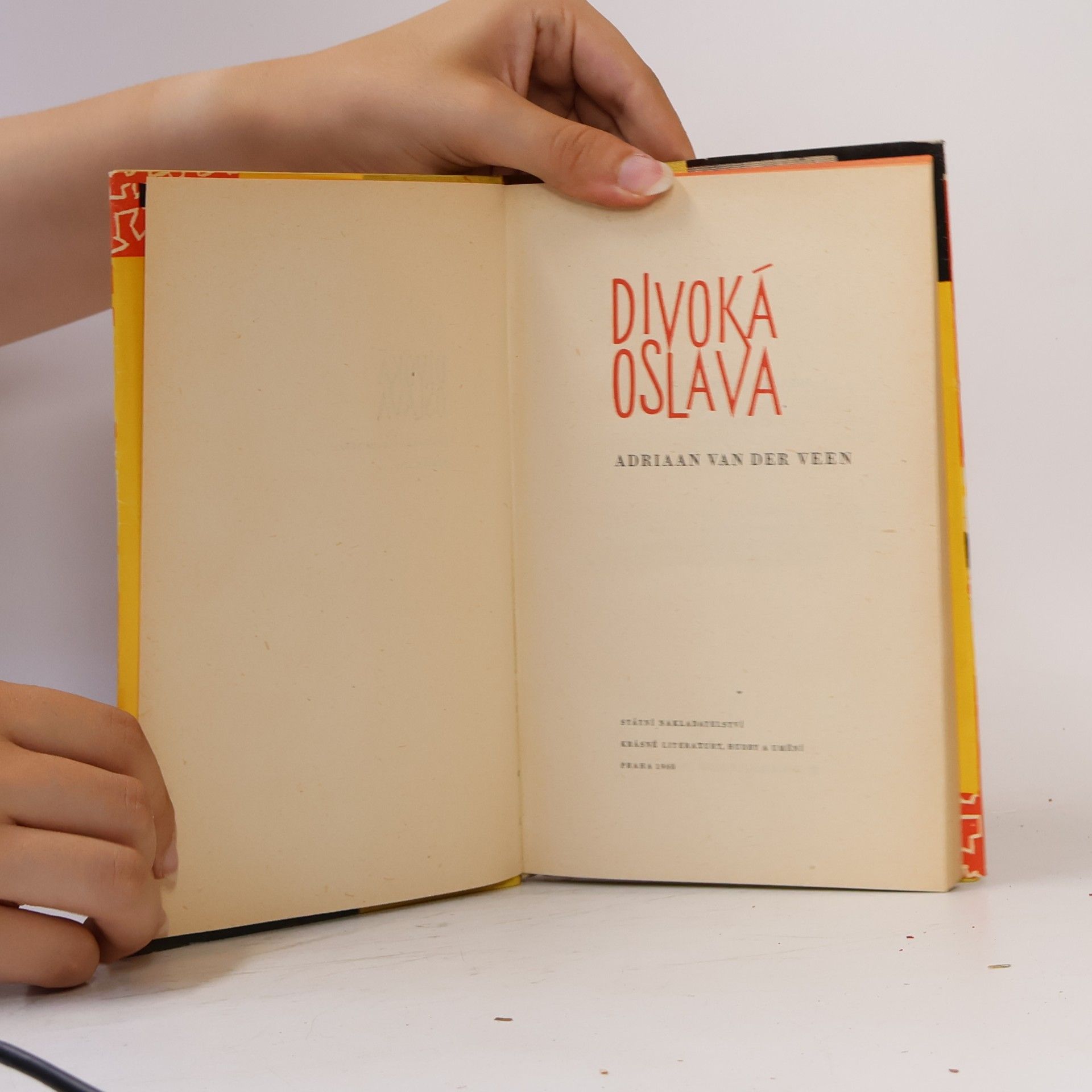 Adriaan van der Veen Divoká oslava