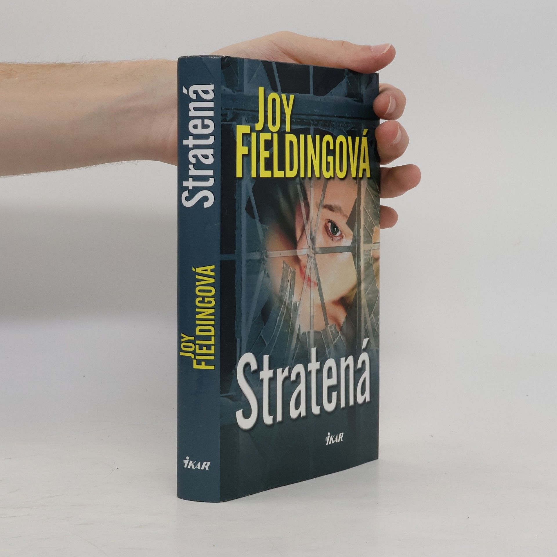 Joy Fielding Stratená