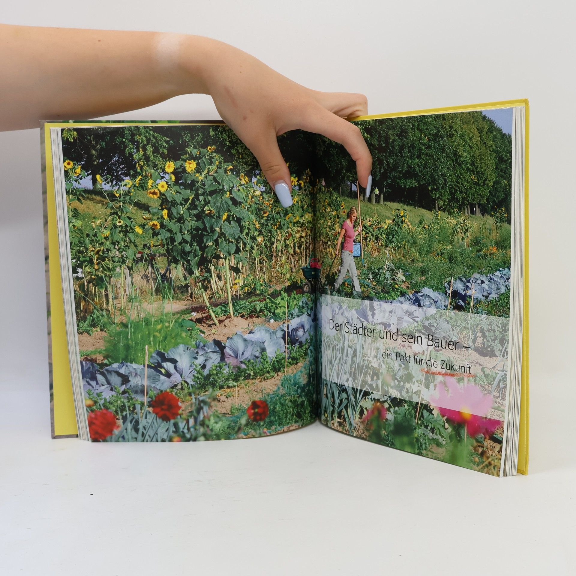 Karen Meyer-Rebentisch Das ist Urban Gardening!