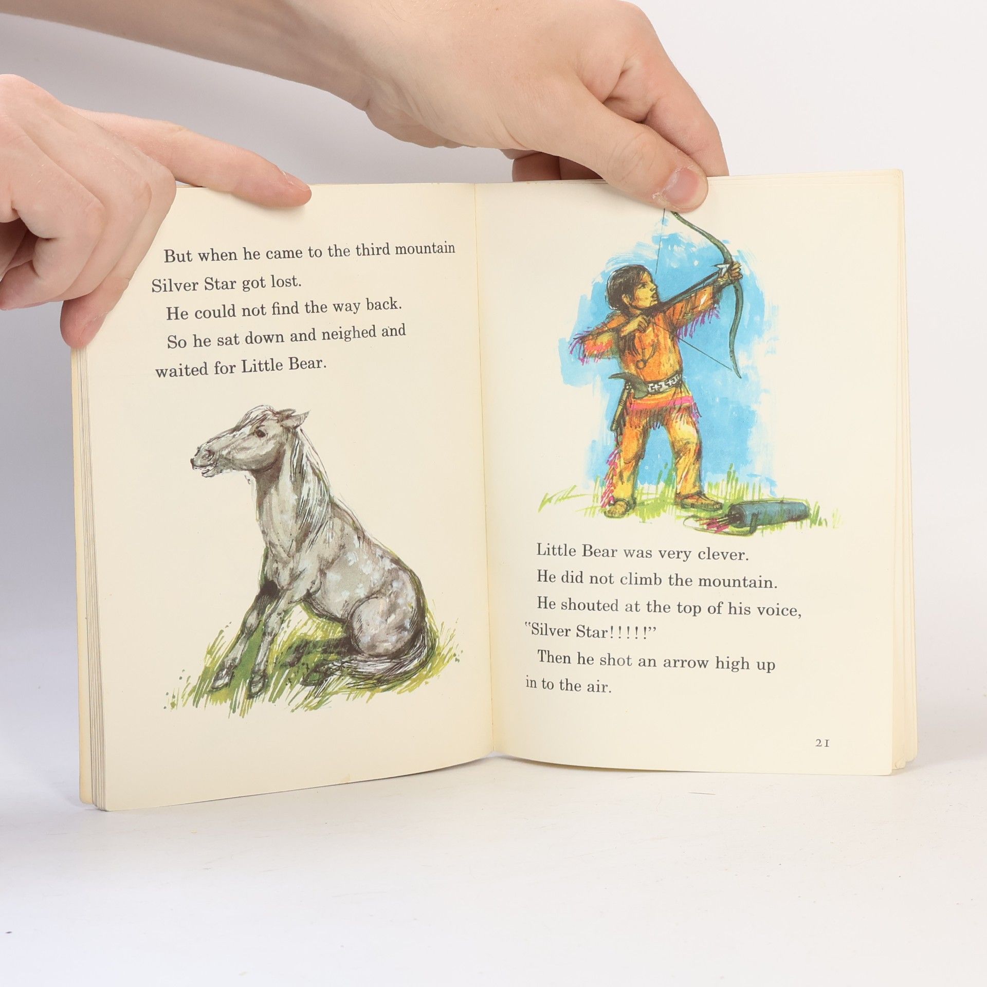 Donald Bisset Little Bear's Pony