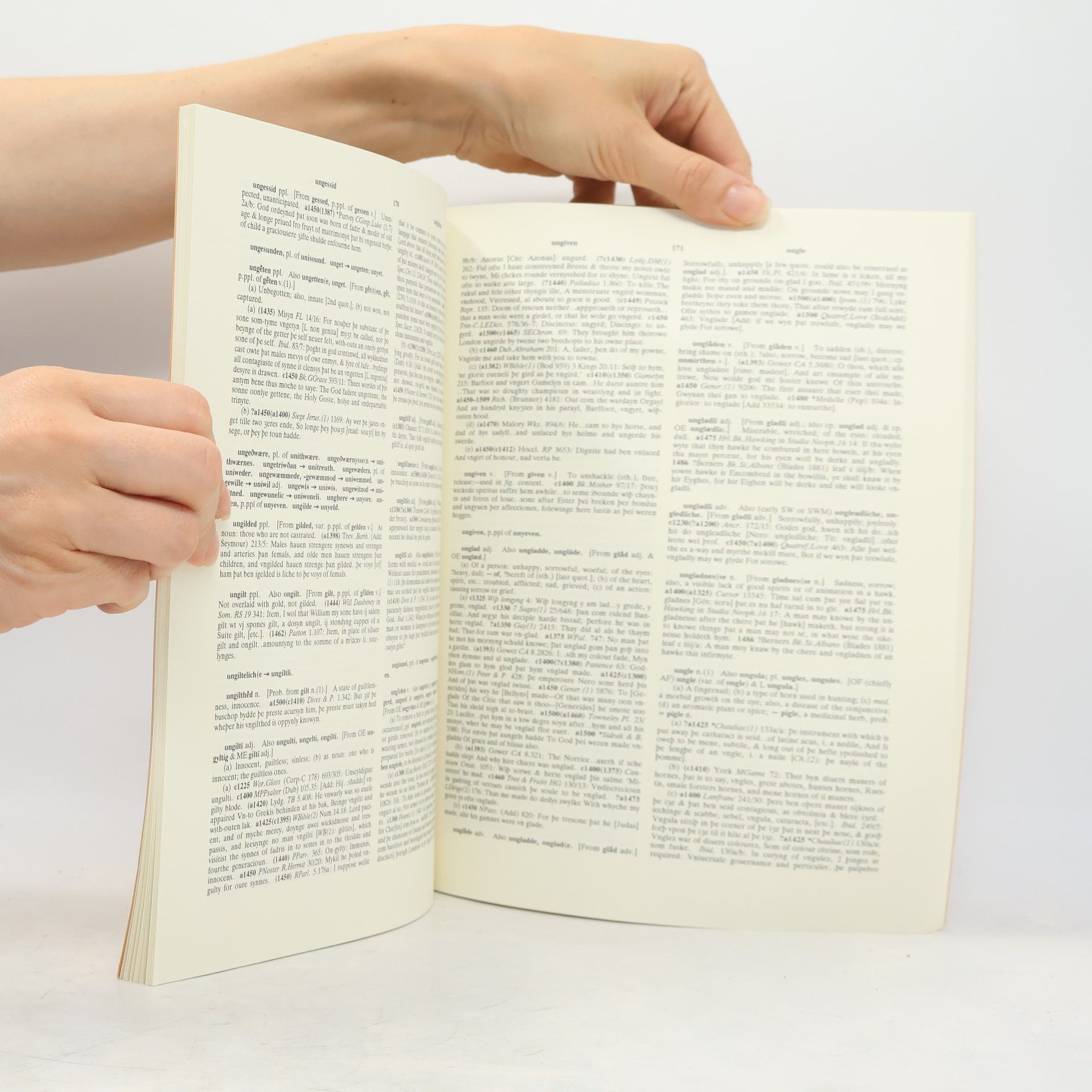 Robert E. Lewis Middle English Dictionary
