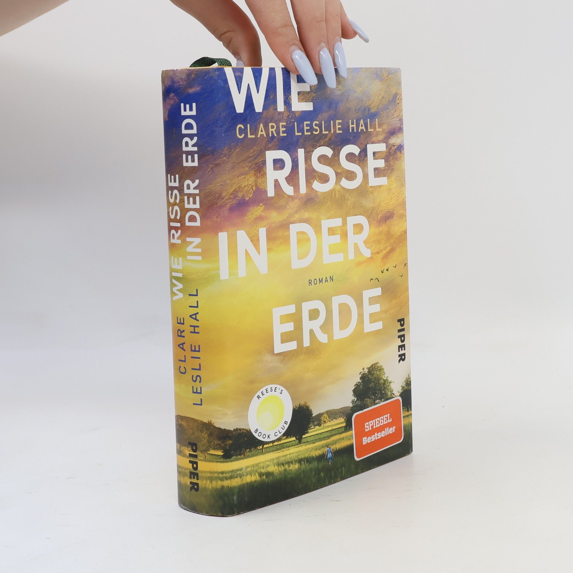 Clare Leslie Hall Wie Risse in der Erde