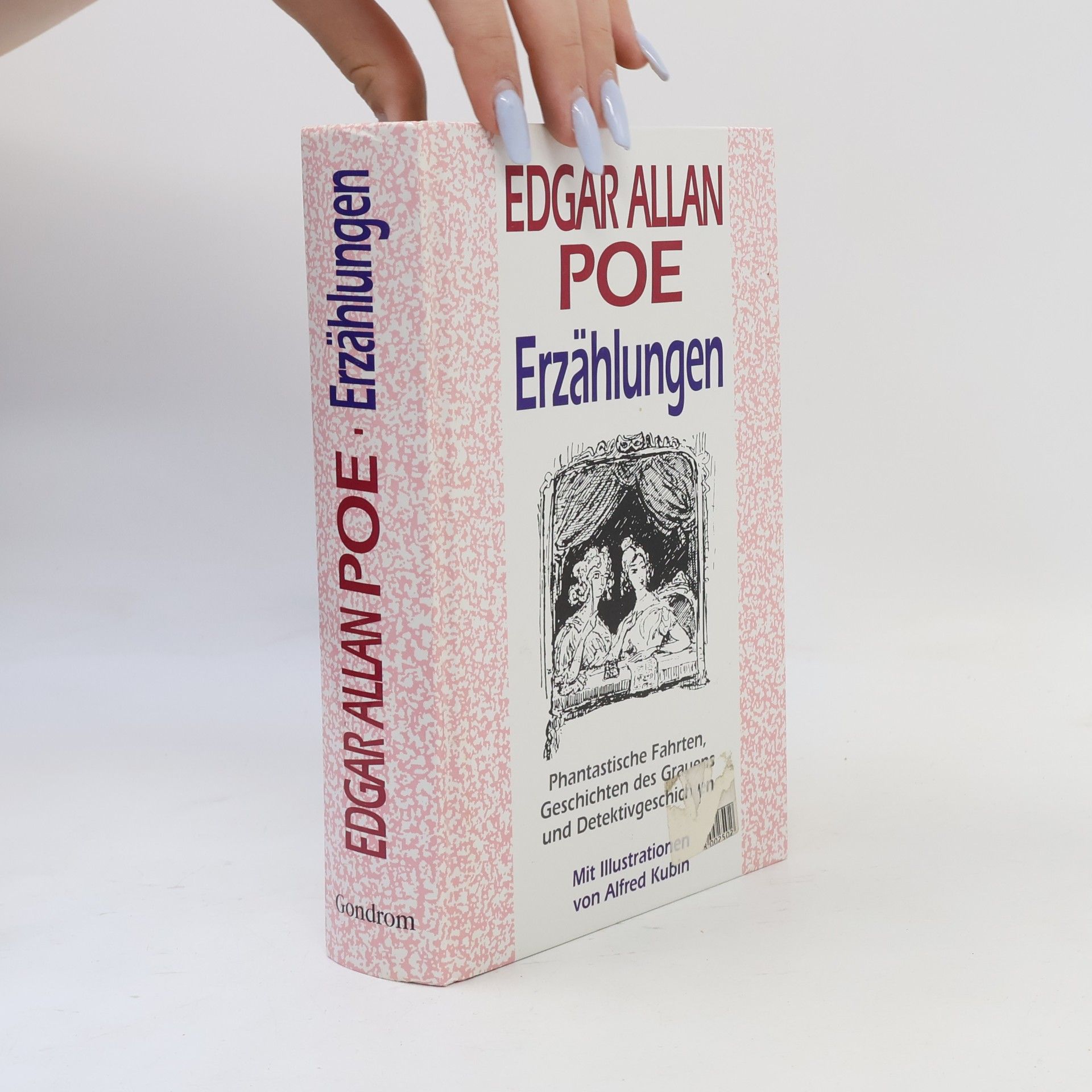 Edgar Allan Poe Erzählungen