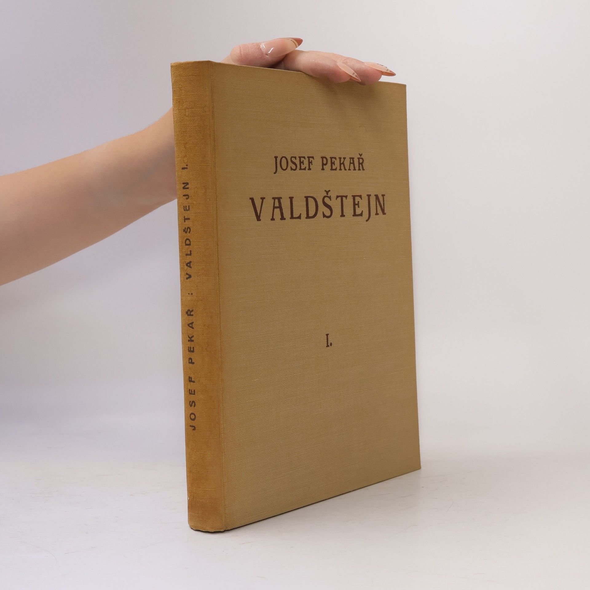 Valdštejn I.