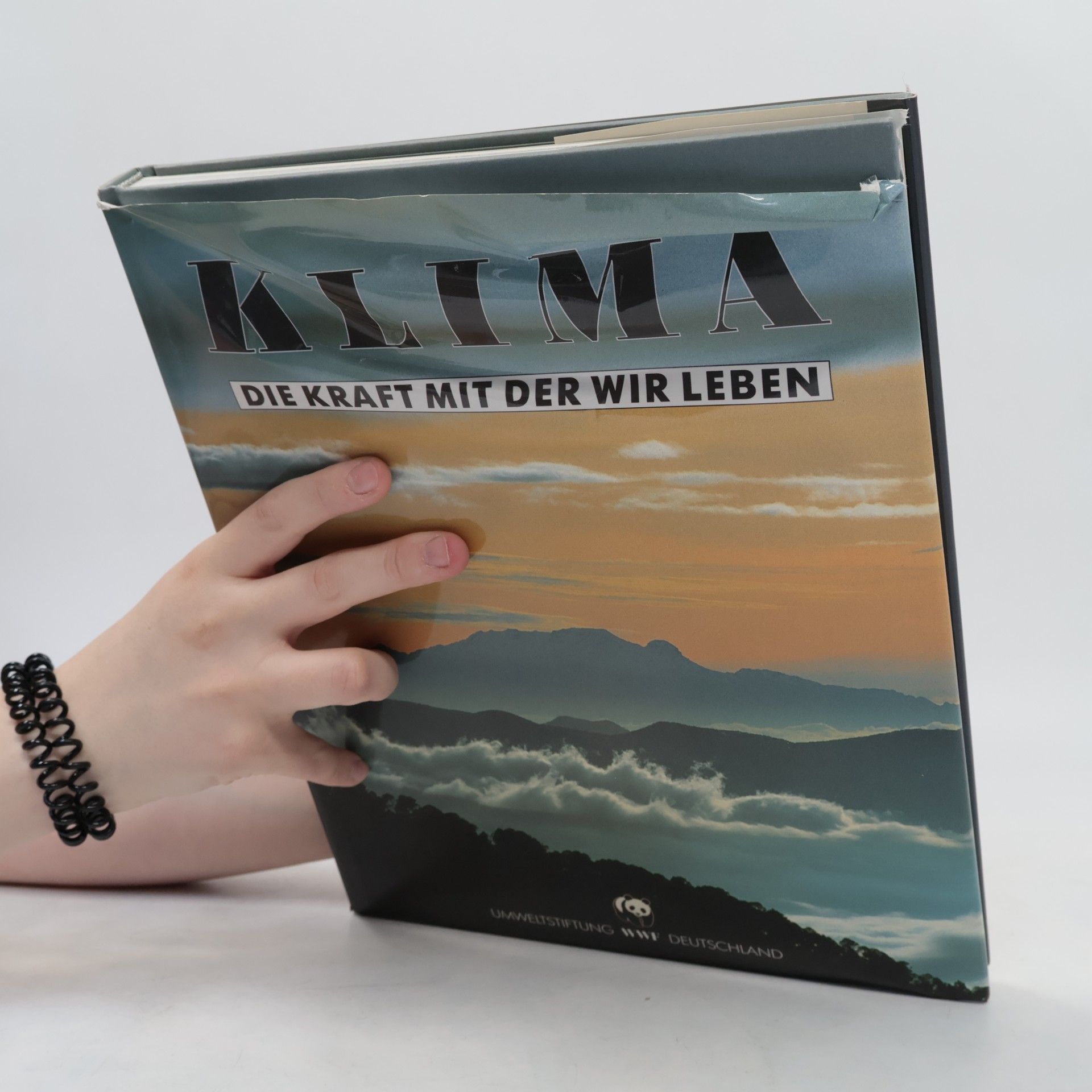 Andreas Giger Klima. Die Kraft mit der wir leben