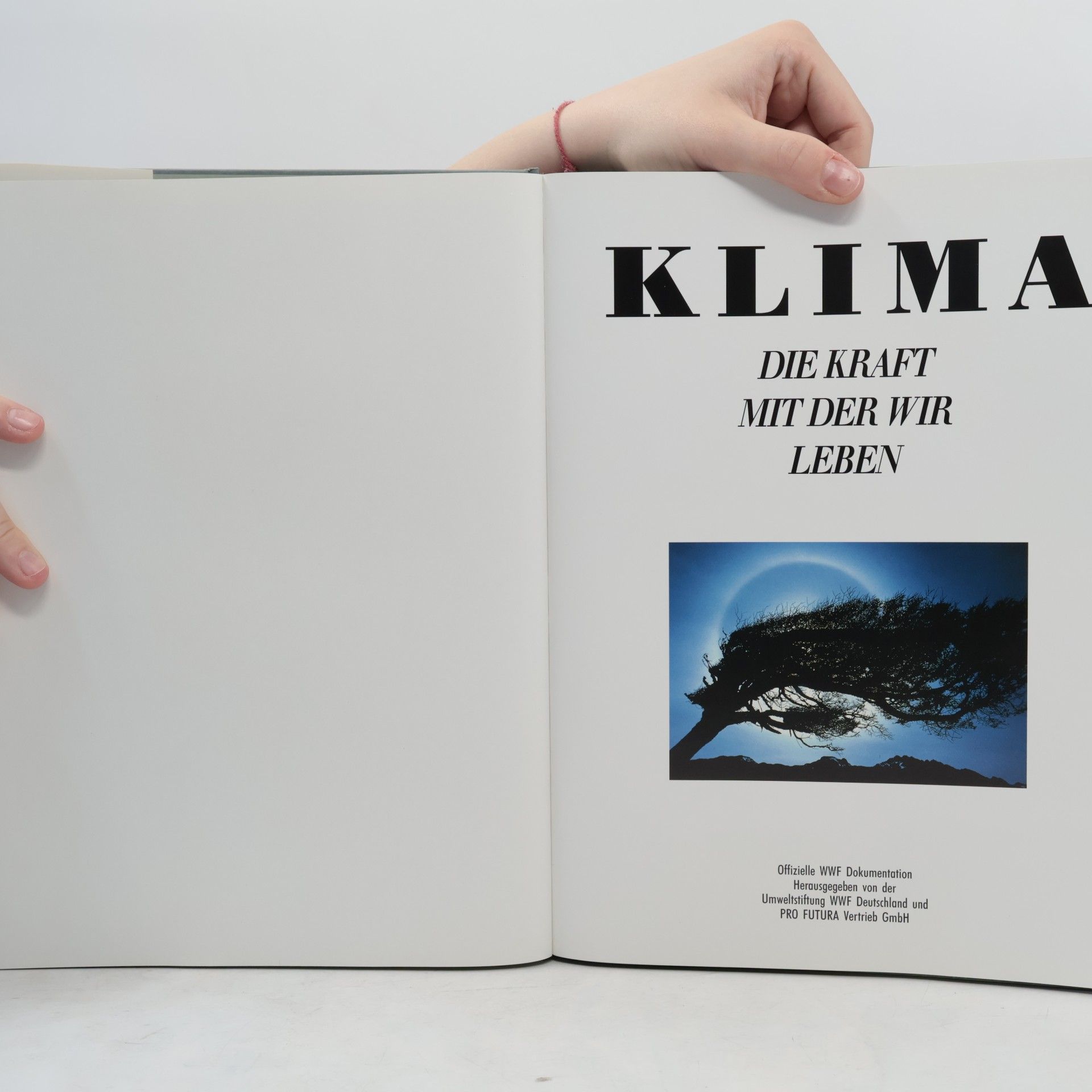 Andreas Giger Klima. Die Kraft mit der wir leben