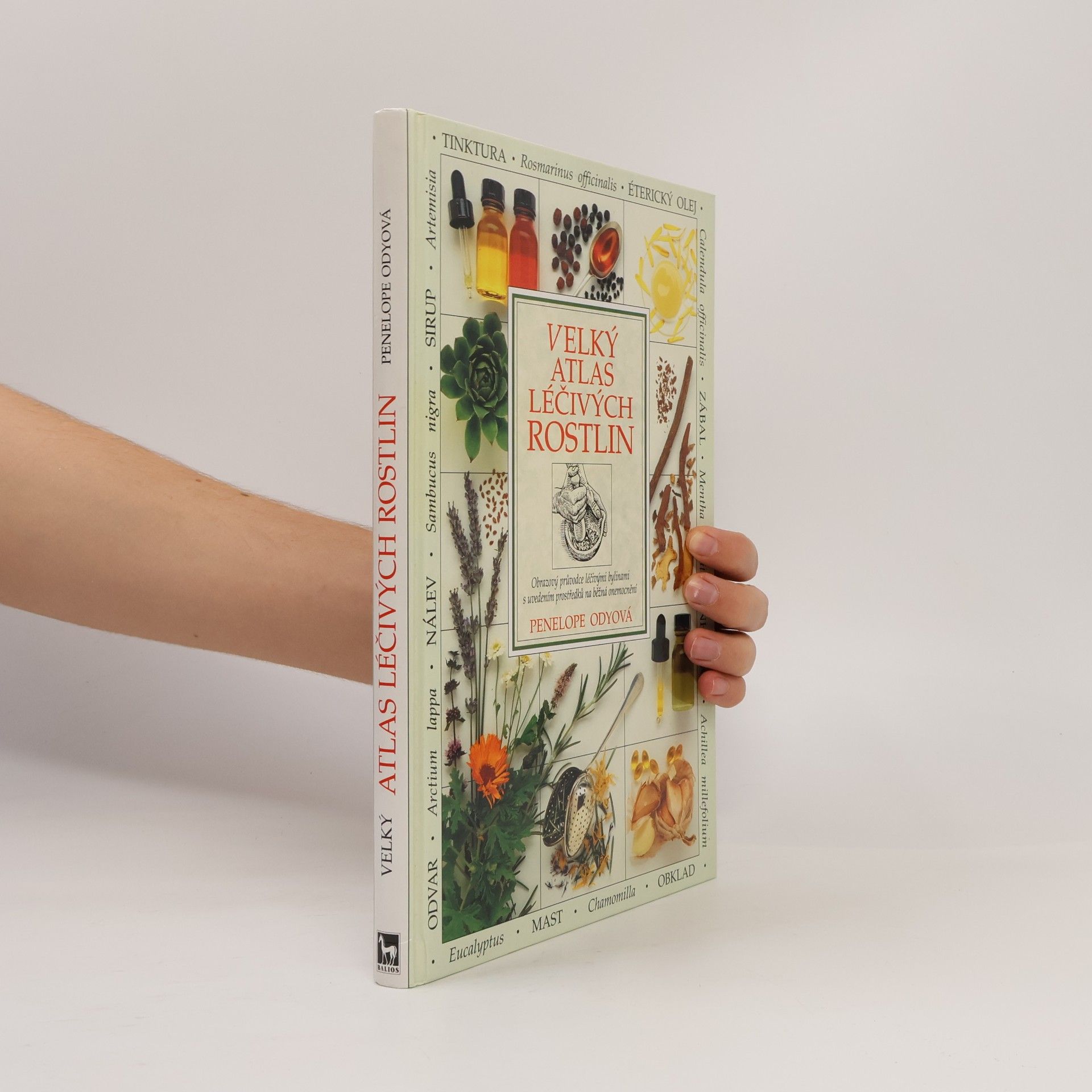 Penelope Ody Velký atlas léčivých rostlin