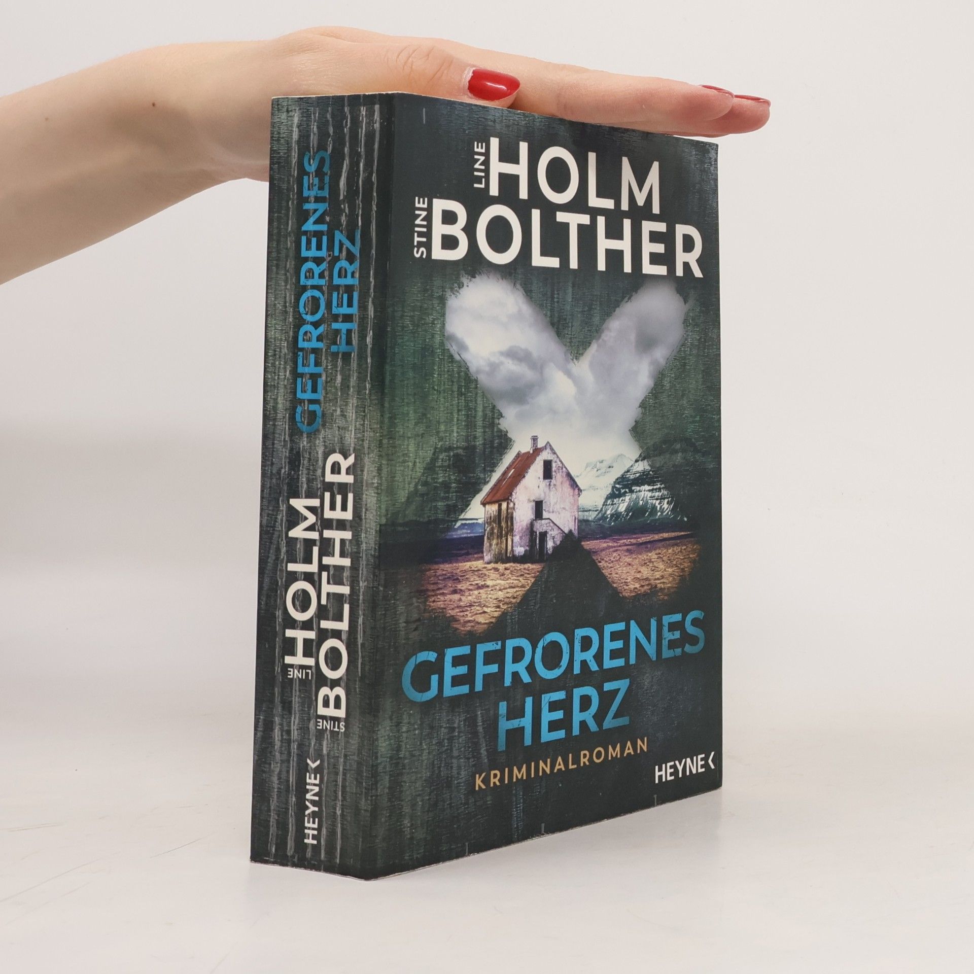 Stine Bolther Gefrorenes herz