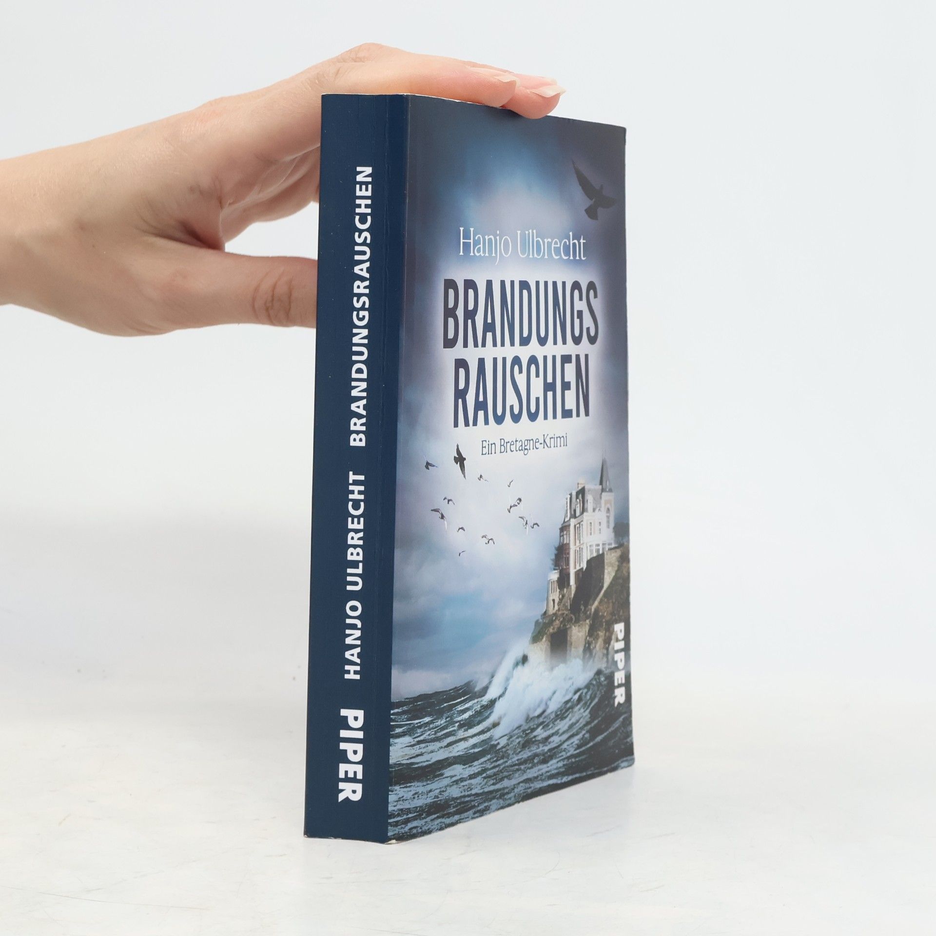 Hanjo Ulbrecht Brandungsrauschen