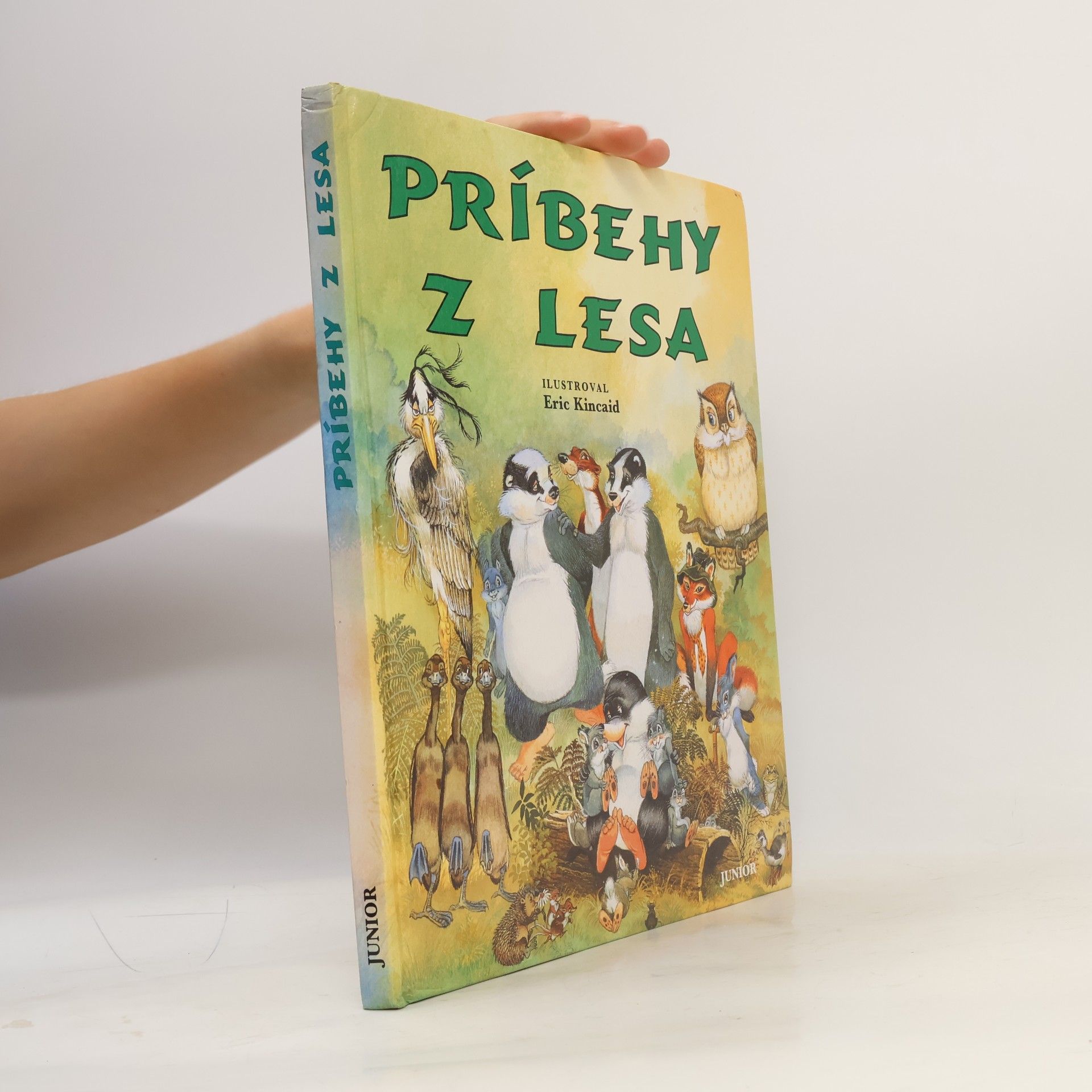 Lucy Kincaid Príbehy z lesa