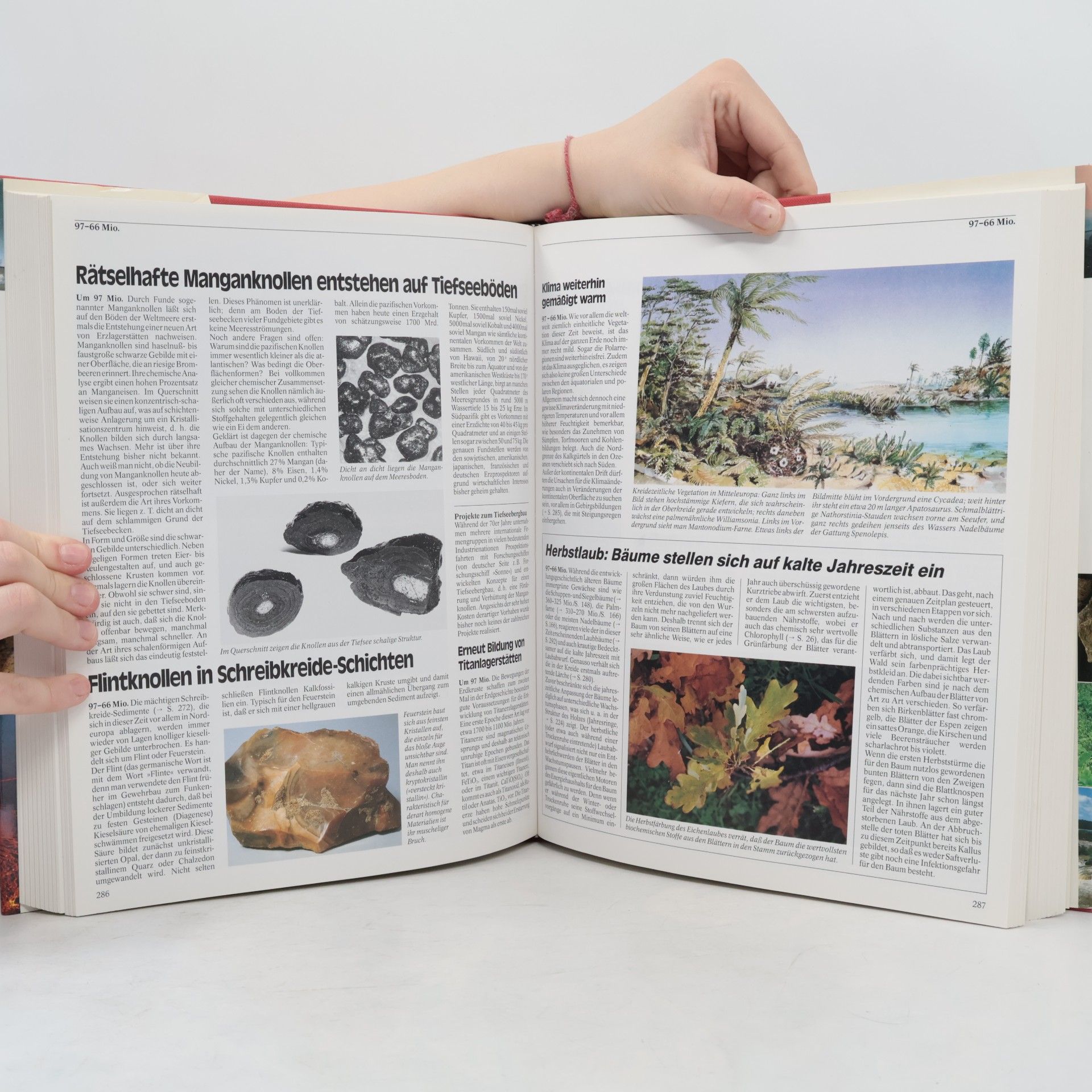 Autorenkollektiv Die Chronik der Erde