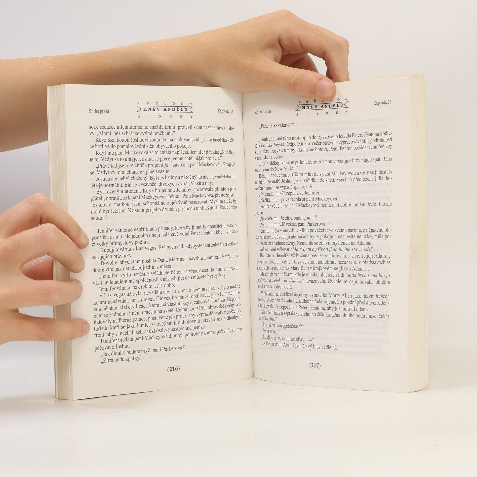 Sidney Sheldon Hněv andělů