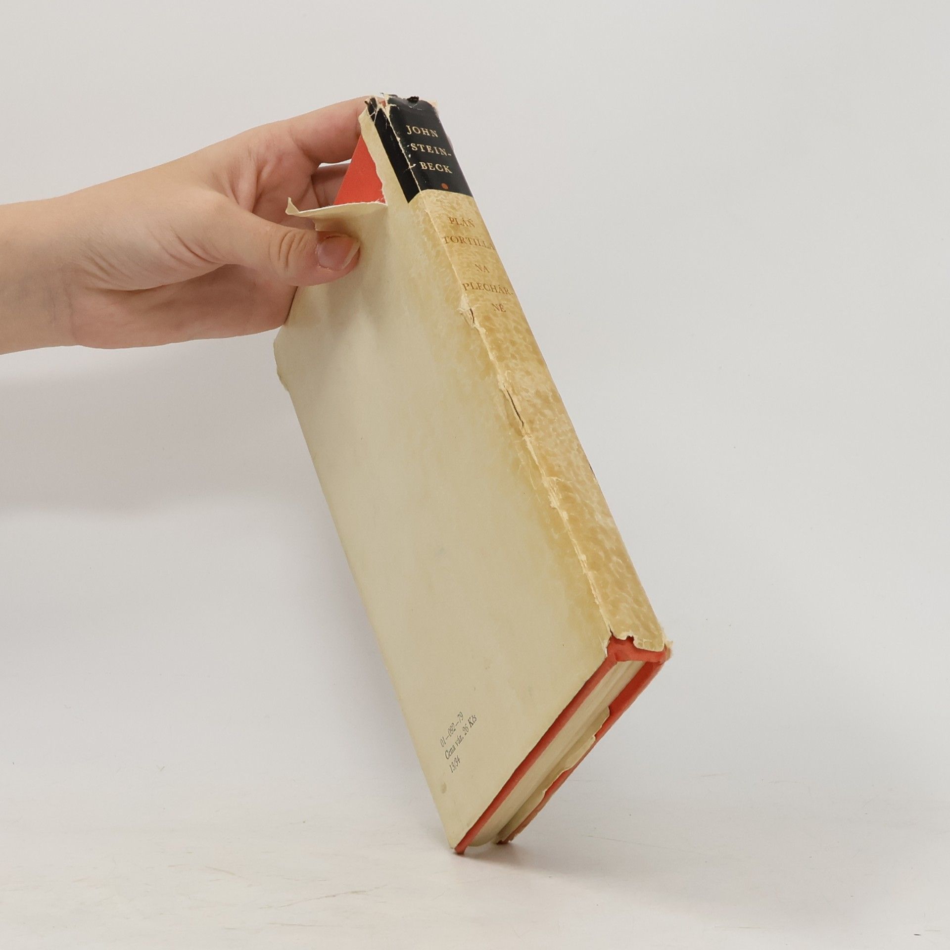 John Steinbeck Pláň Tortilla. Na plechárně
