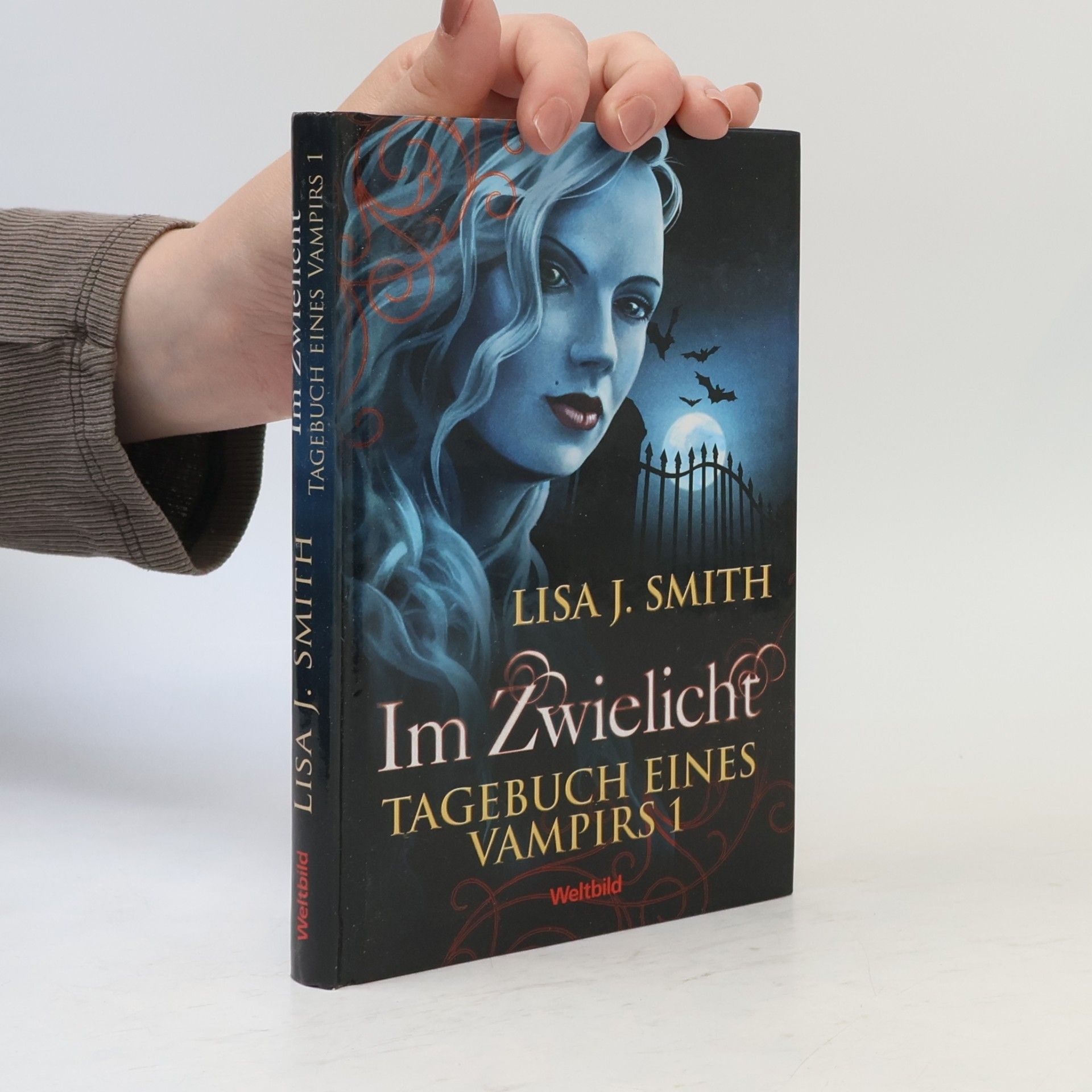 L. J. Smithová  Tagebuch eines Vampirs 1. Im Zwielicht