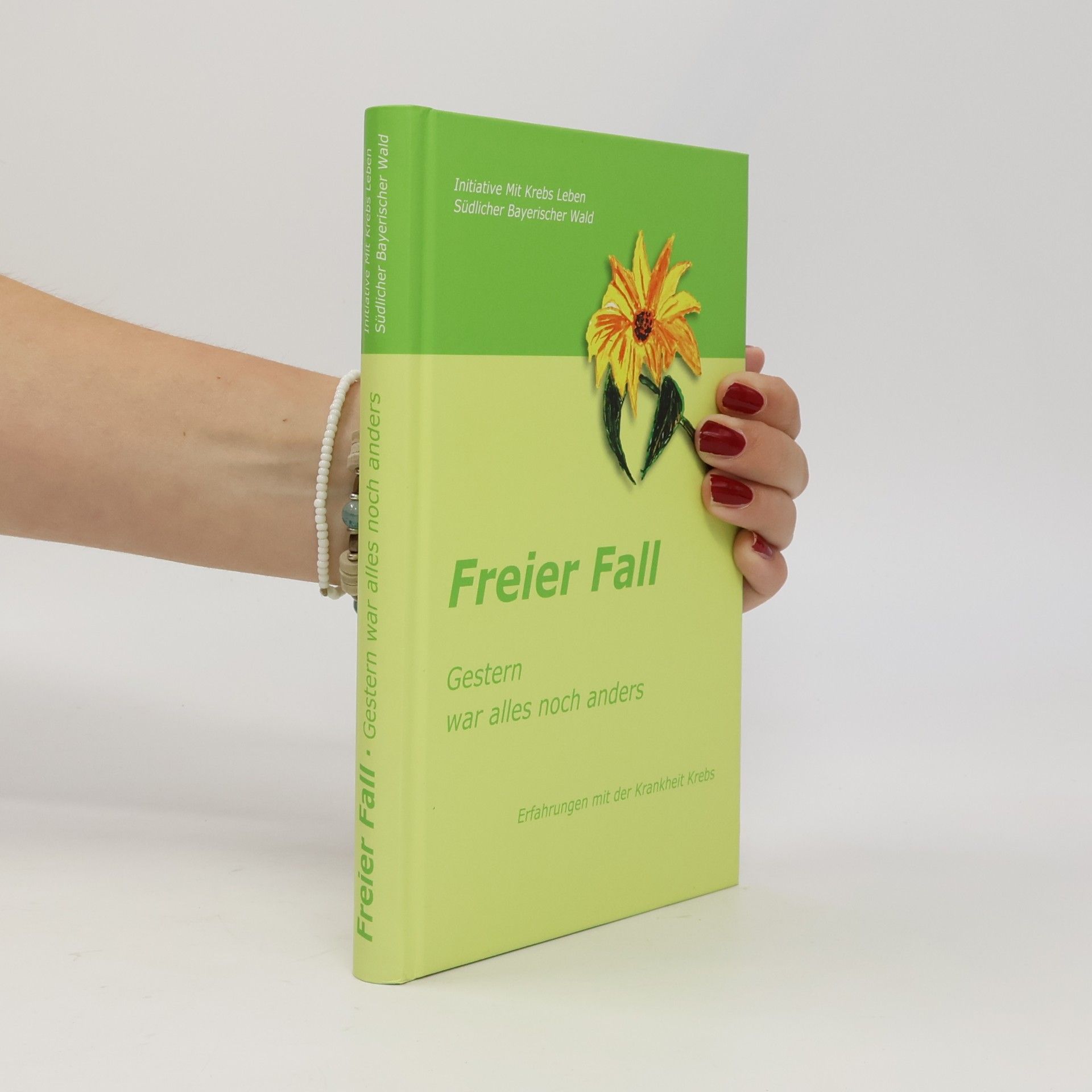 Collectif d'auteurs Freier Fall - Gestern war alles noch anders