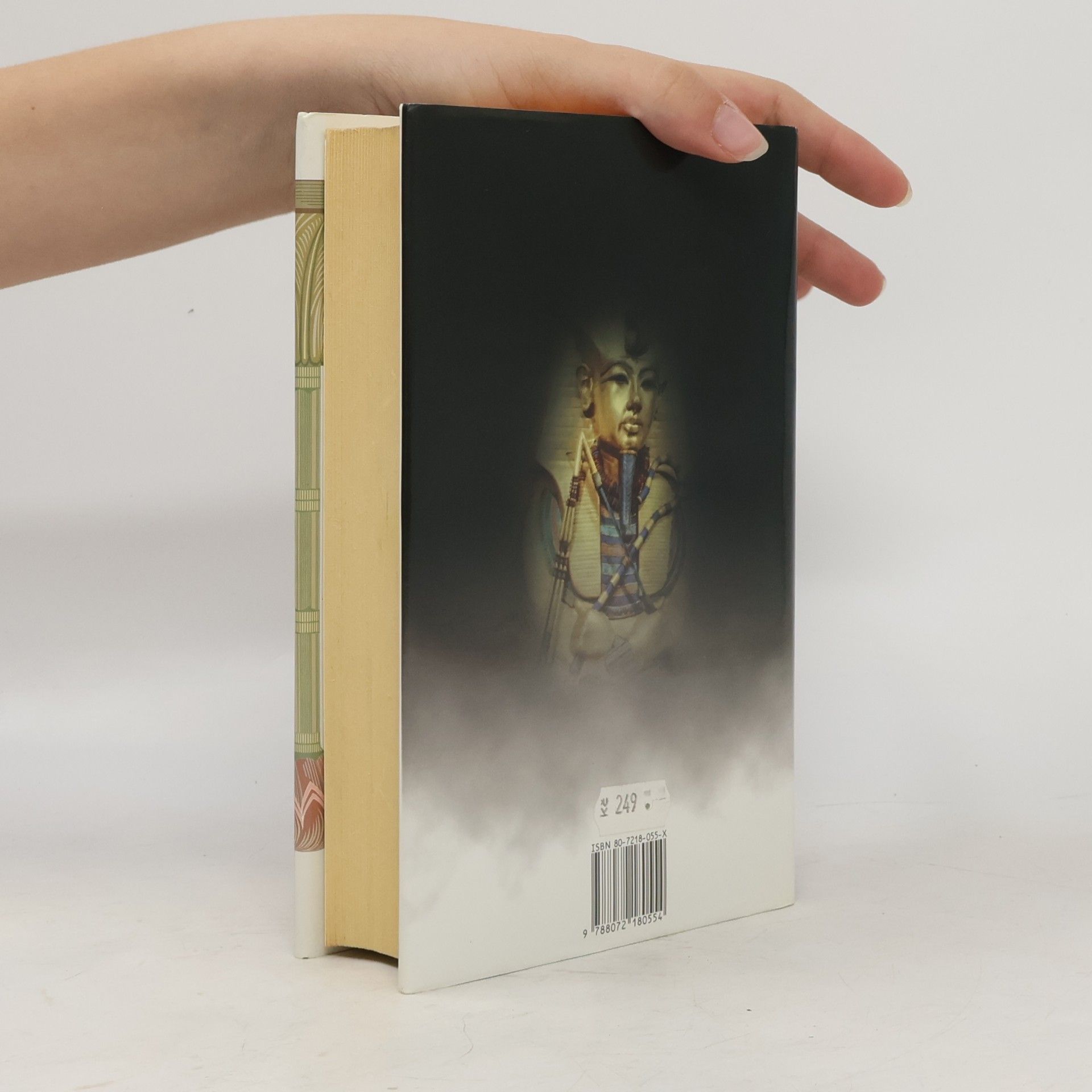 Wilbur Smith Řeka bohů II