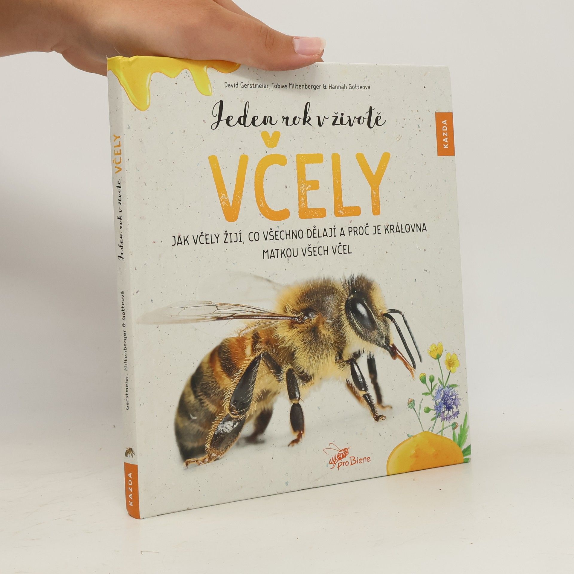 Tobias Miltenberger Jeden rok v životě včely