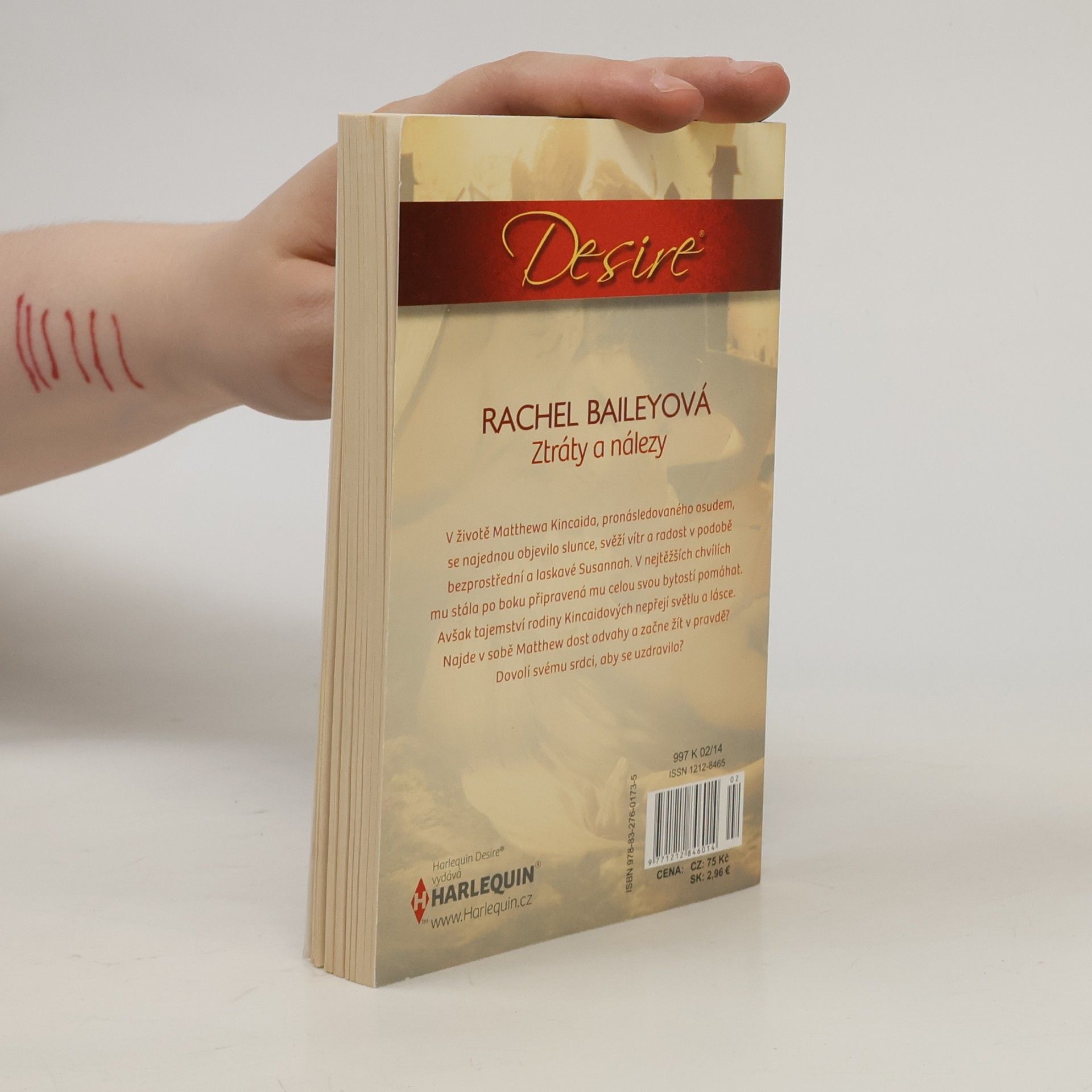 Rachel Bailey Ztráty a nálezy