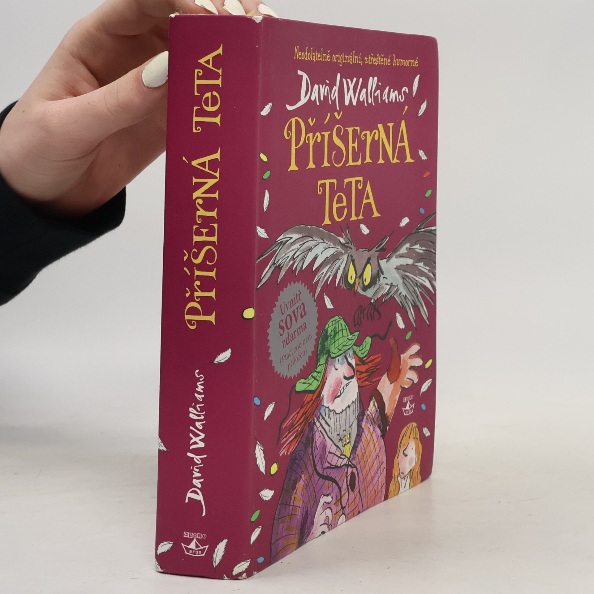 David Walliams Příšerná teta