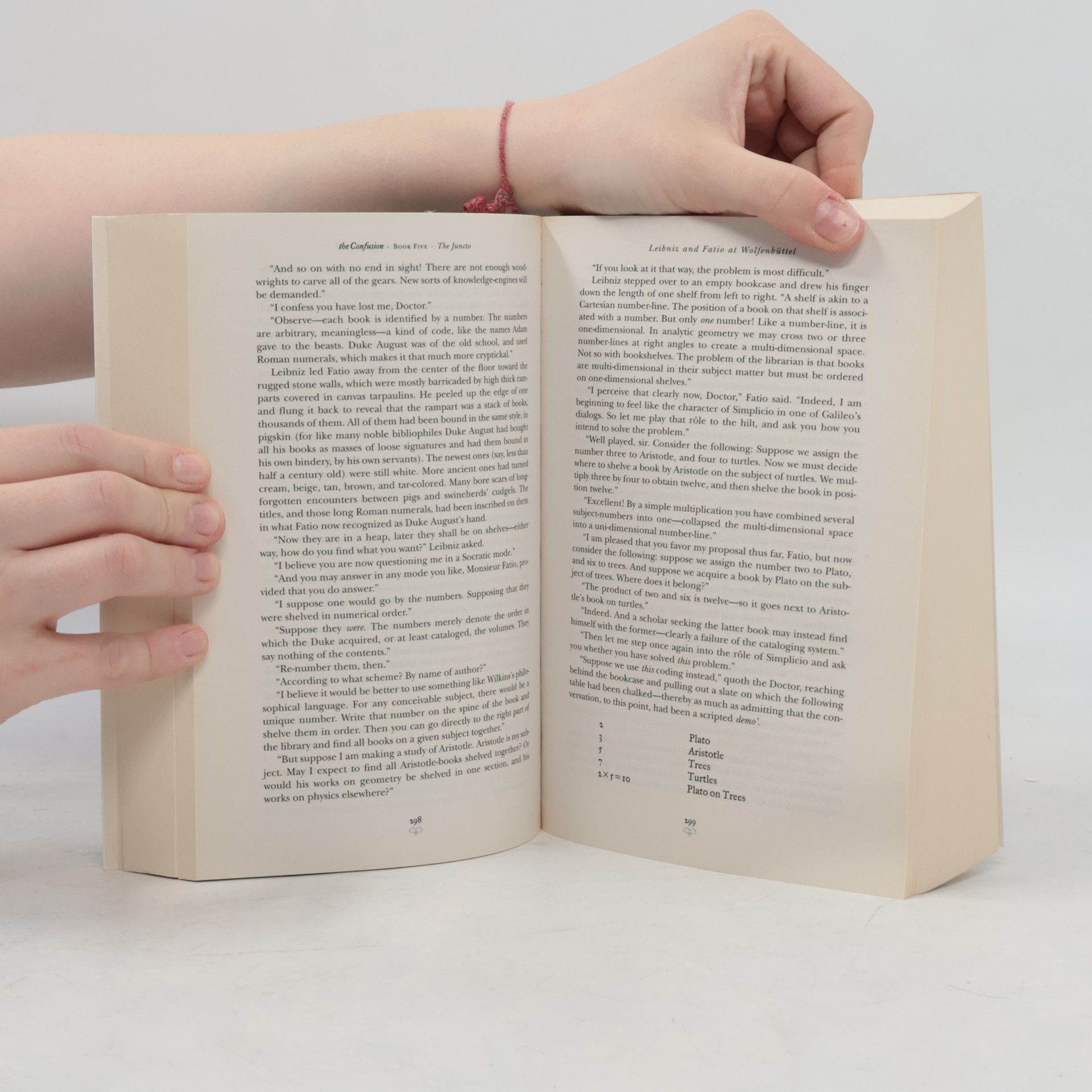 Neal Stephenson The confusion