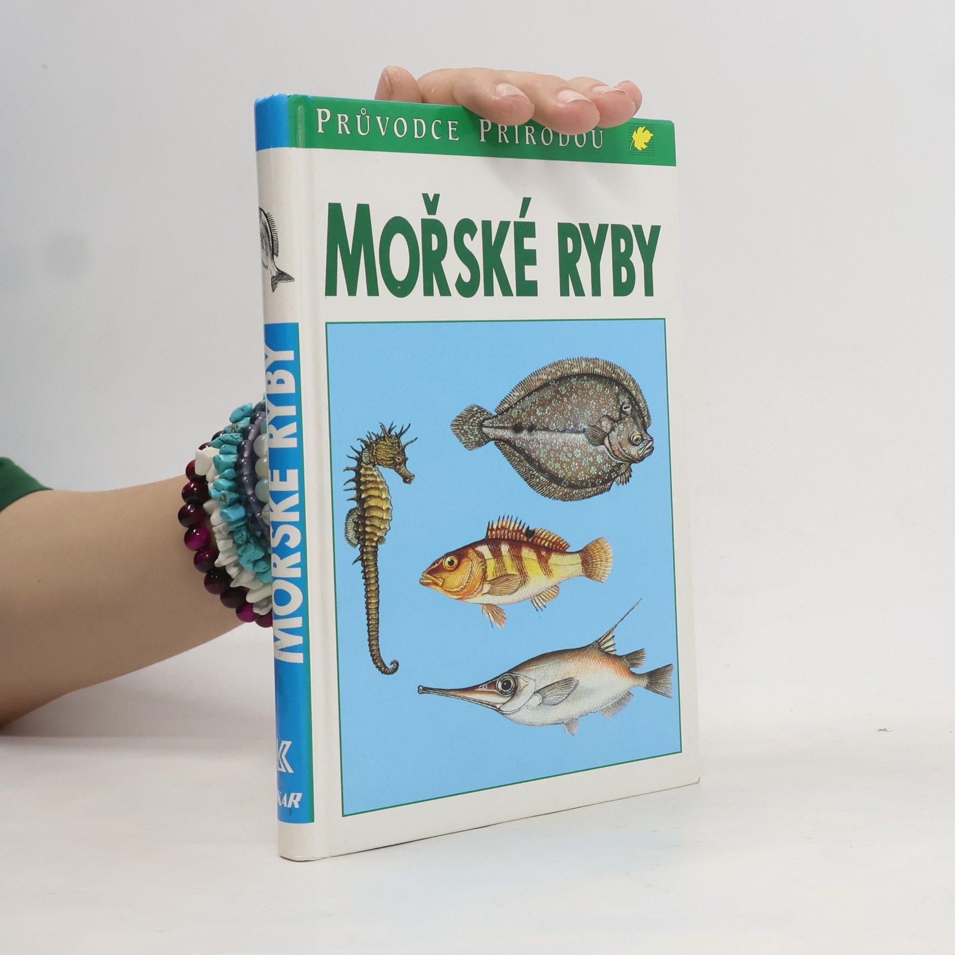 Sauer Frieder Mořské ryby v evropských vodách