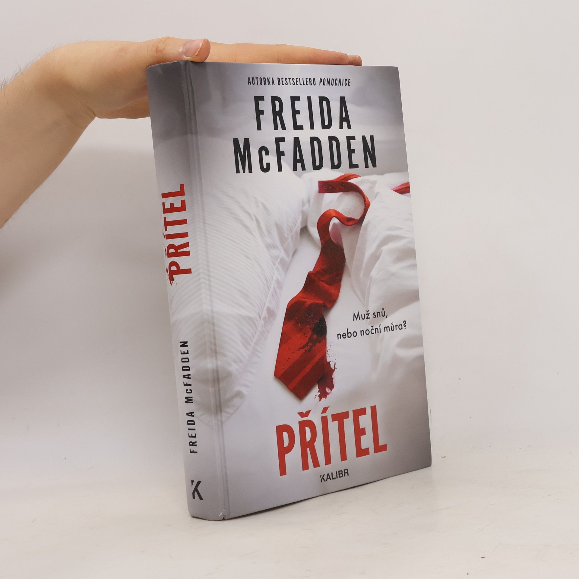 Freida McFadden Přítel