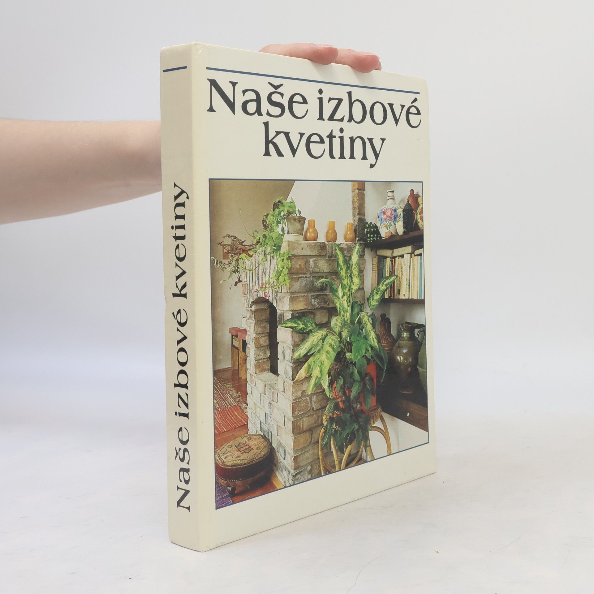 Lajos Lelkes Naše izbové kvetiny