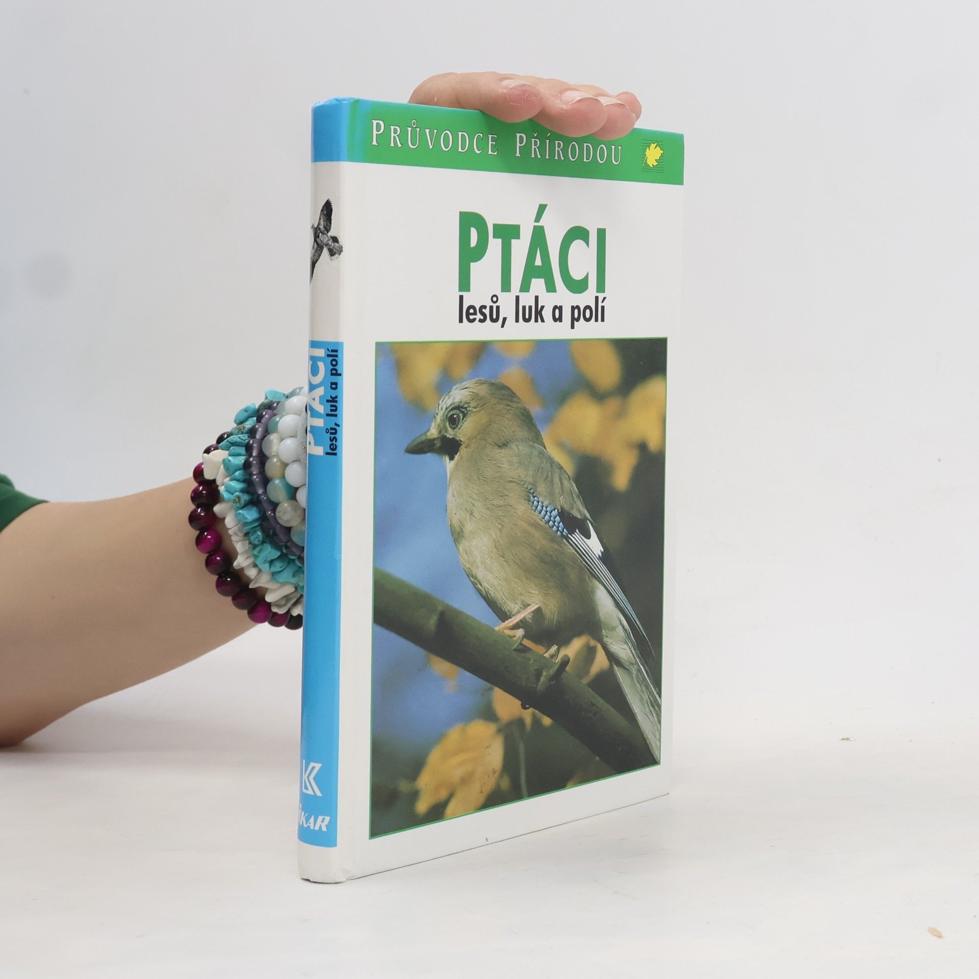 Sauer Frieder Ptáci lesů, luk a polí