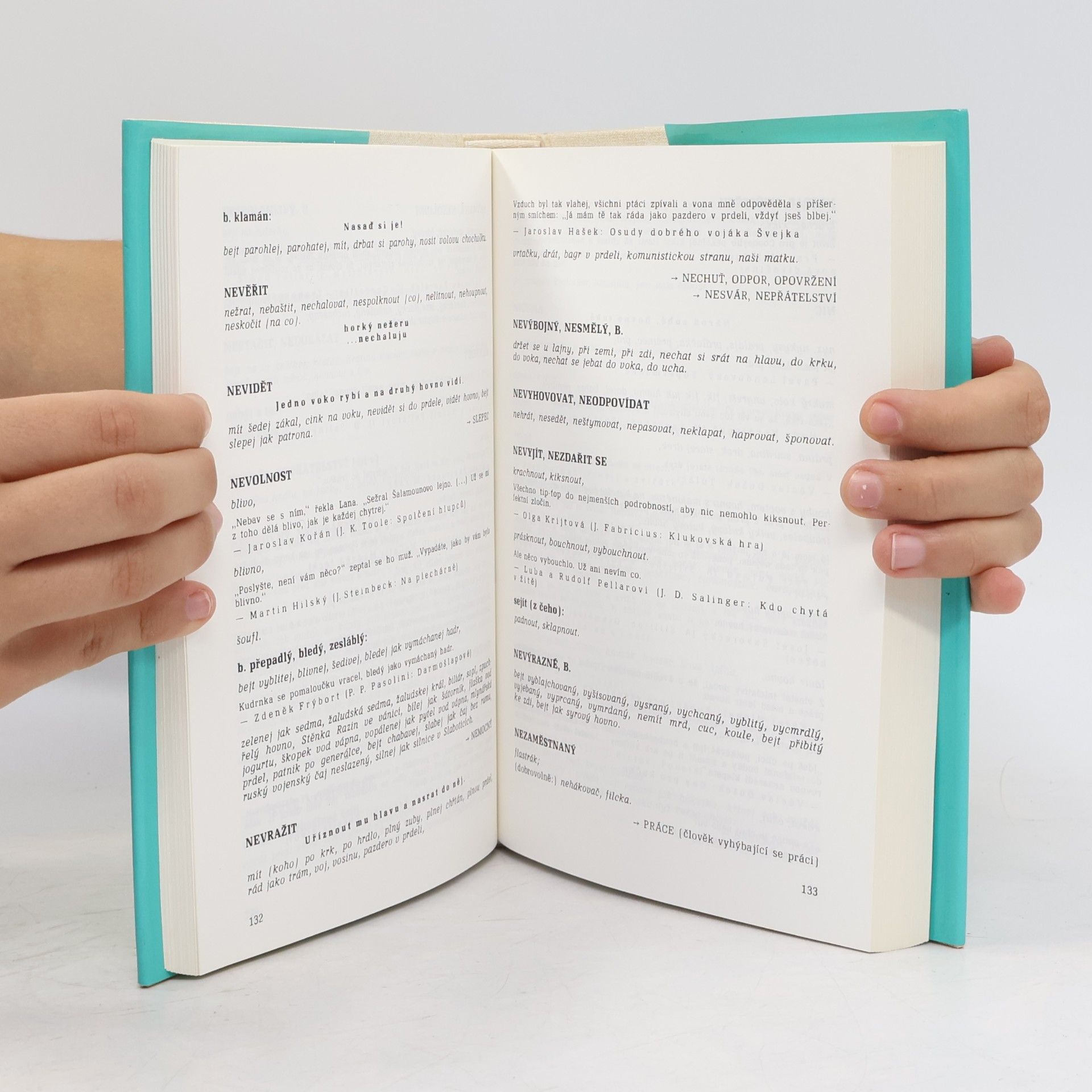 Patrik Ouředník Šmírbuch jazyka českého
