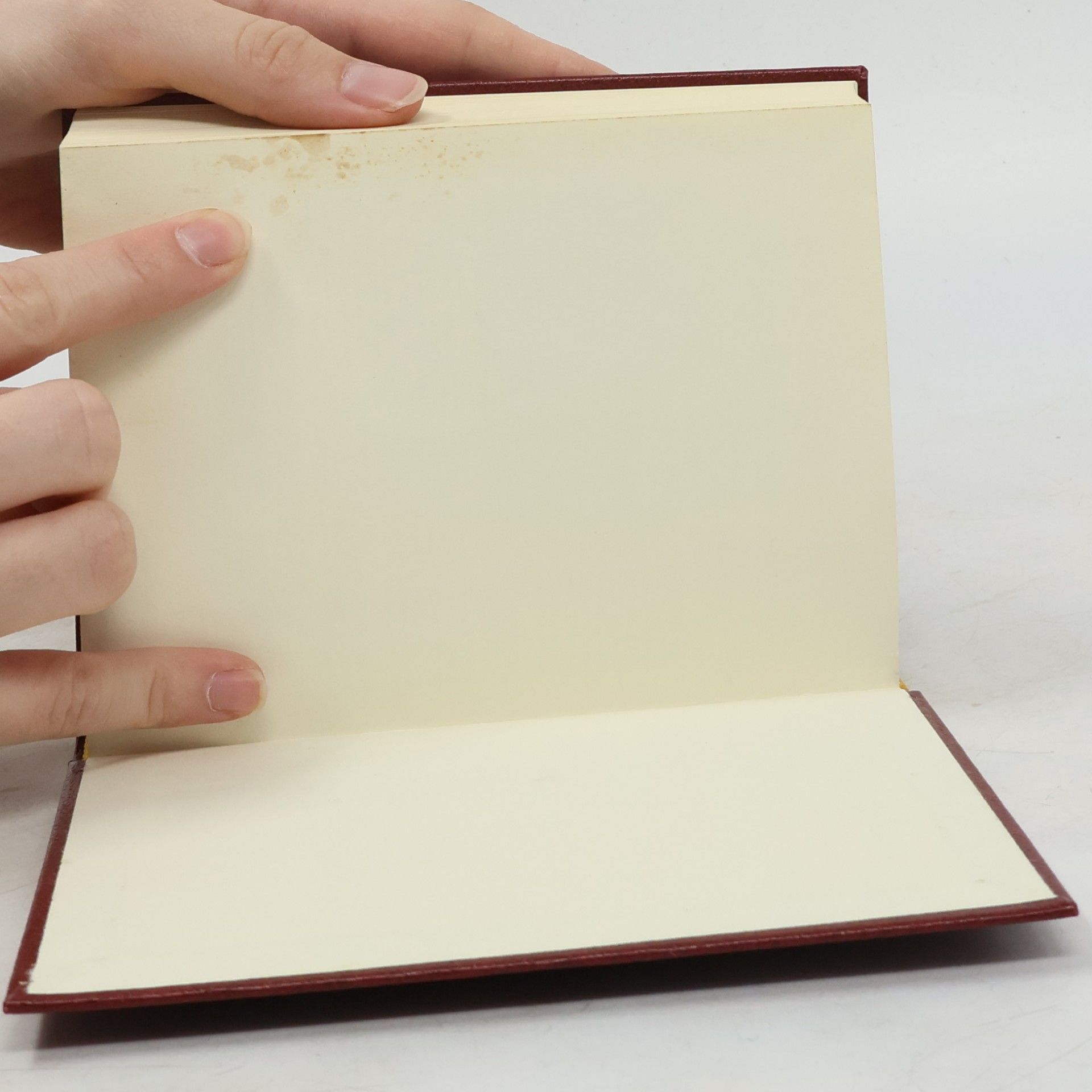 Autorenkollektiv Bible. Písmo svaté Starého i Nového zákona. Ekumenický překlad