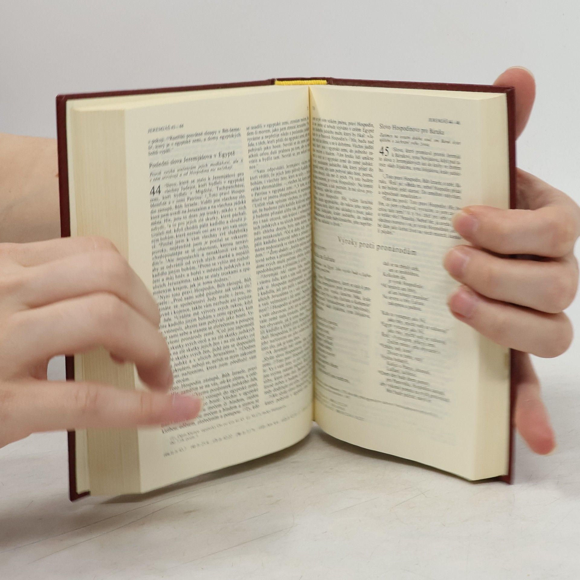 Autorenkollektiv Bible. Písmo svaté Starého i Nového zákona. Ekumenický překlad