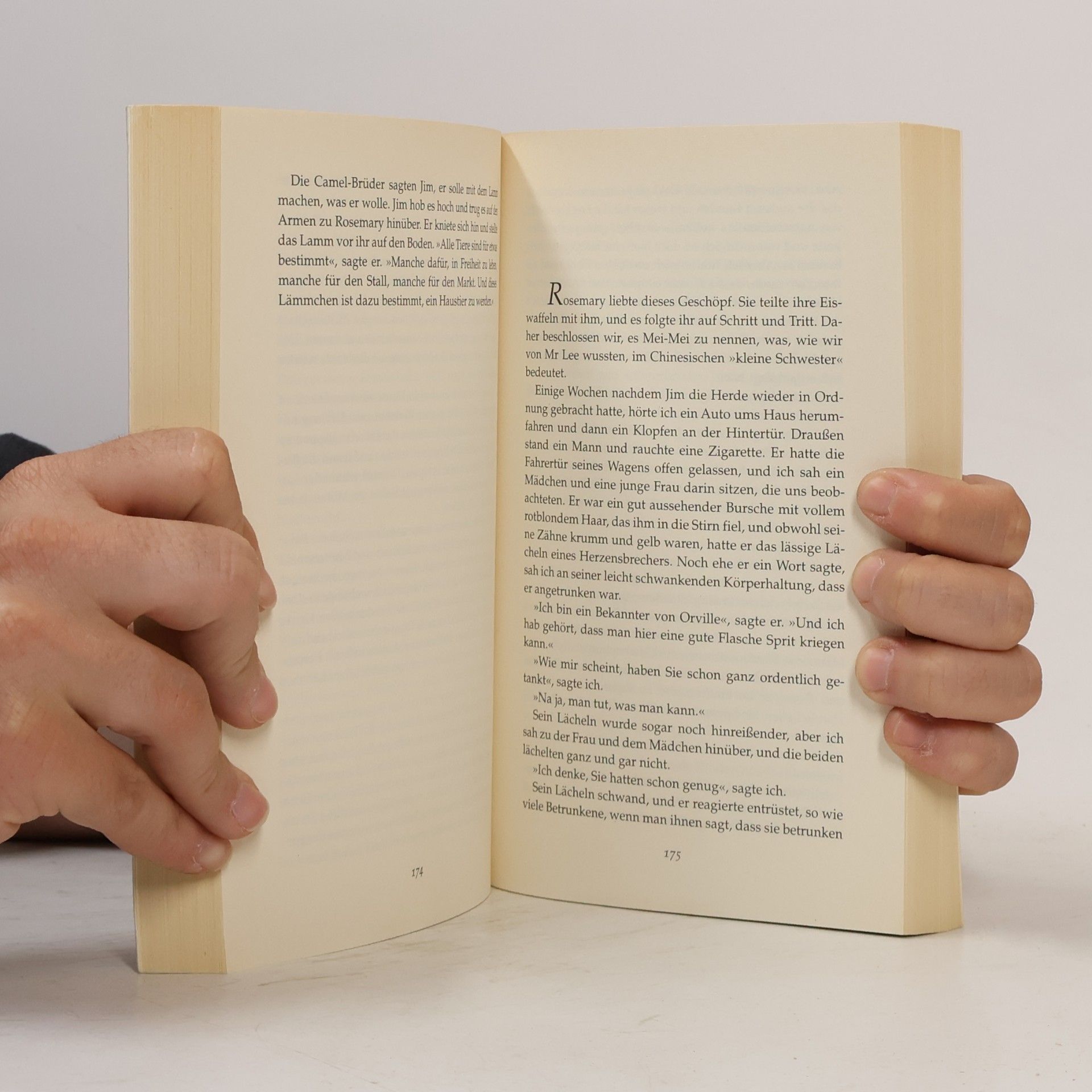 Jeannette Walls Ein ungezähmtes Leben