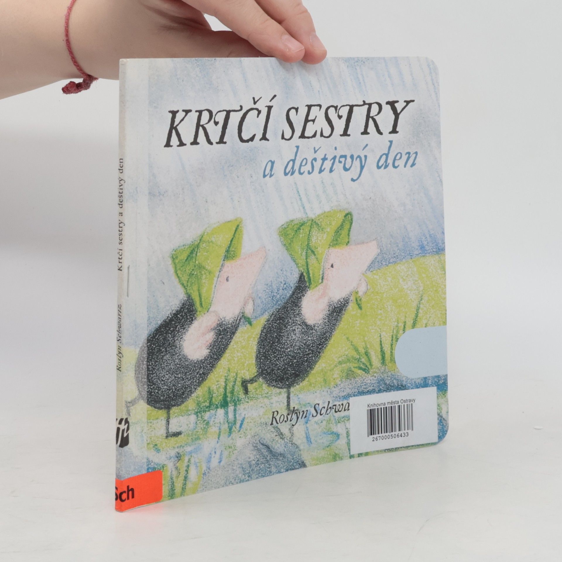 Roslyn Schwartz Krtčí sestry a deštivý den