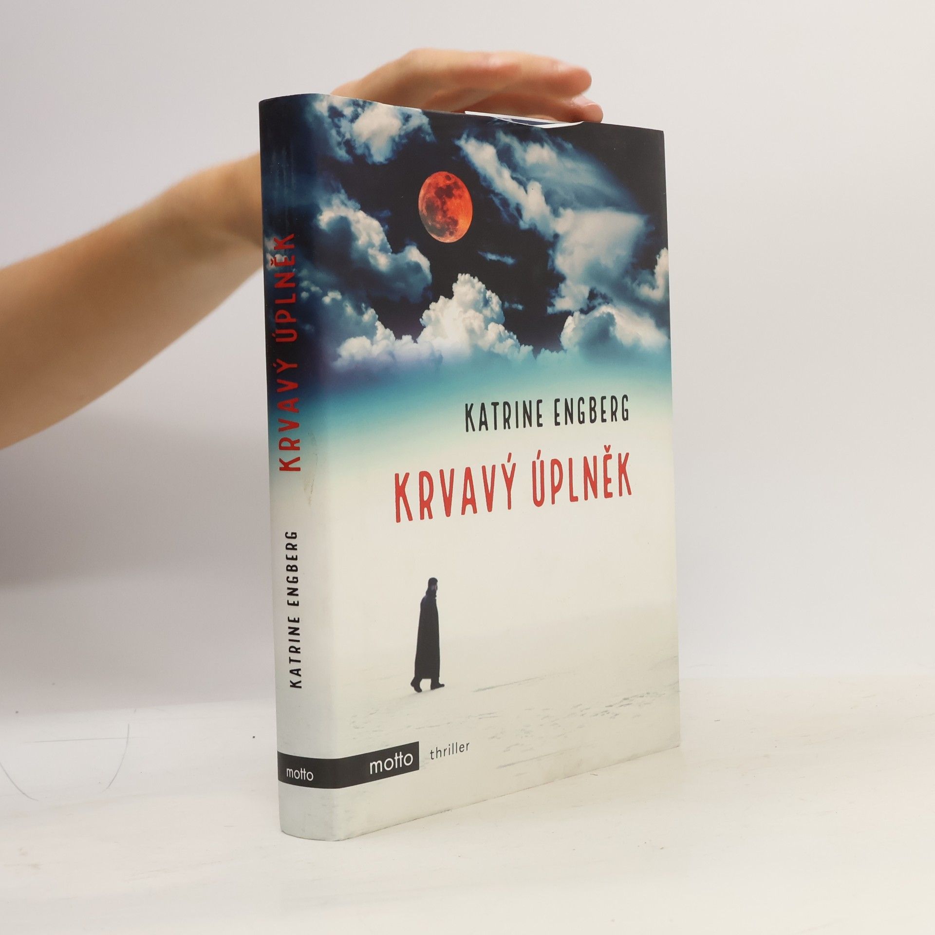 Katrine Engberg Krvavý úplněk