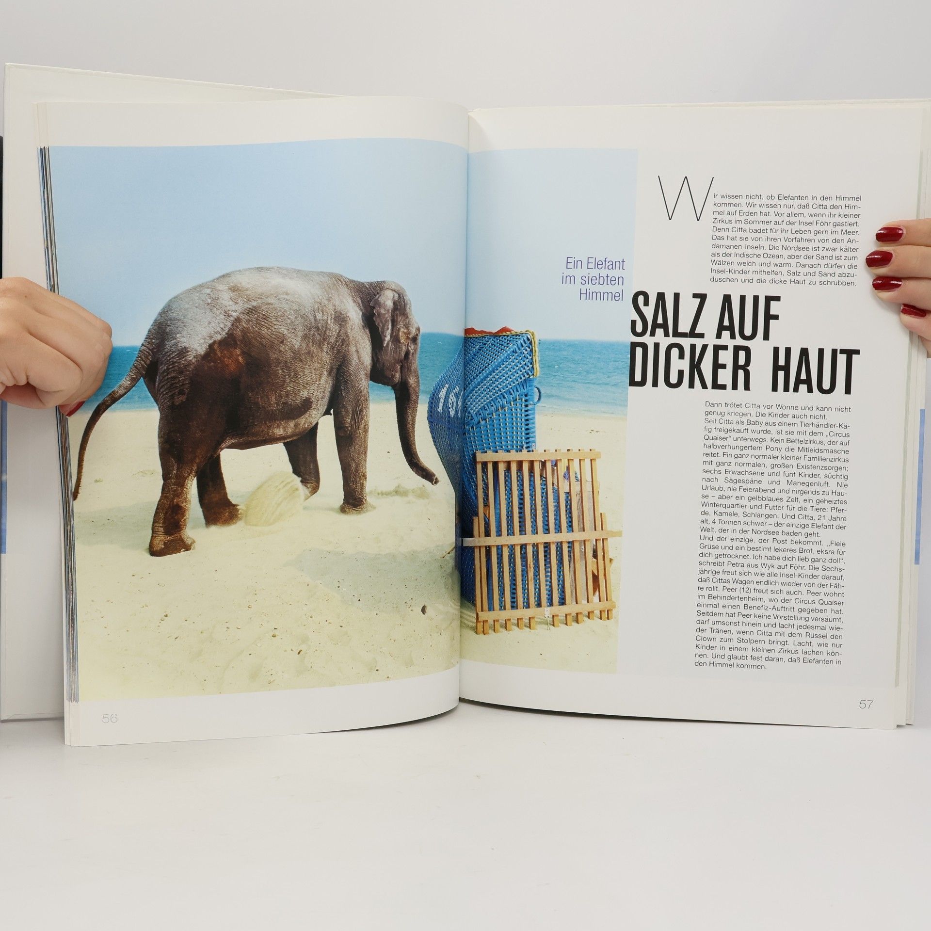 Autorenkollektiv Ein Foto und seine Geschichte