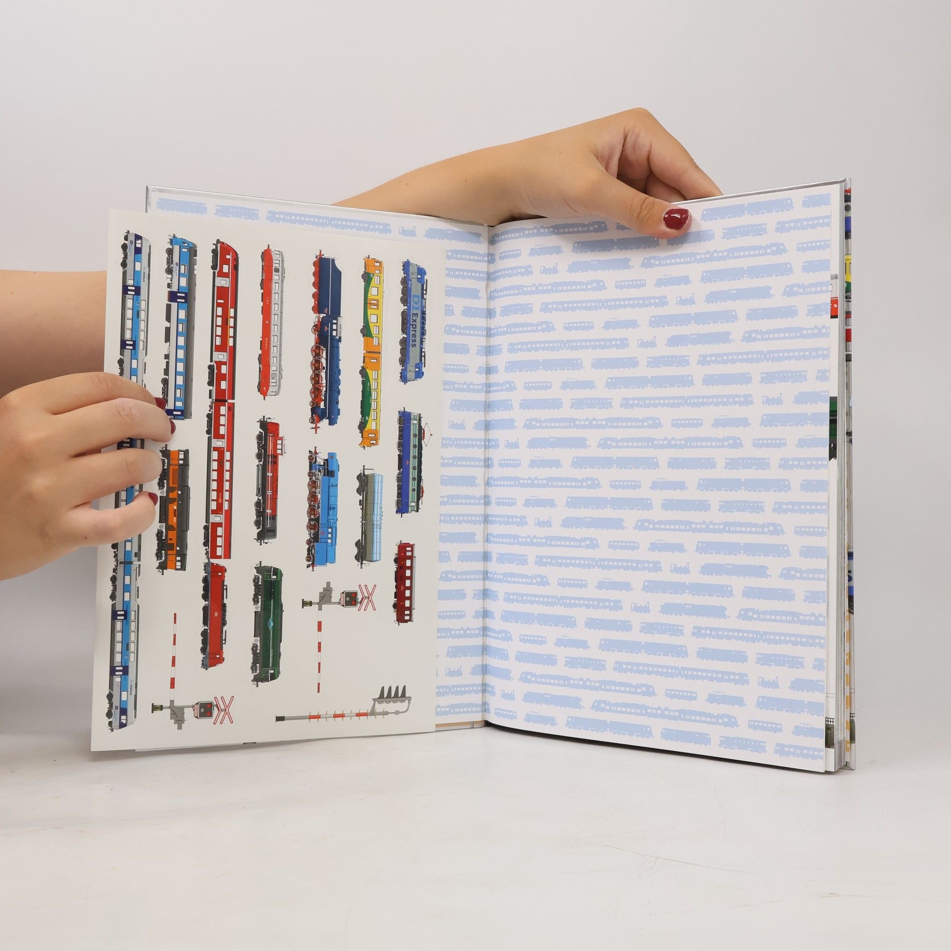 Collectif d'auteurs Dvě století na české železnici