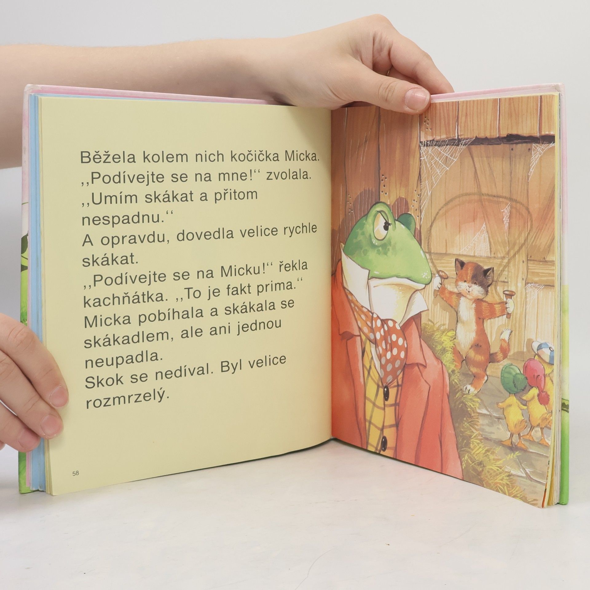 June Woodman Neposedná kachňátka a jejich přátelé