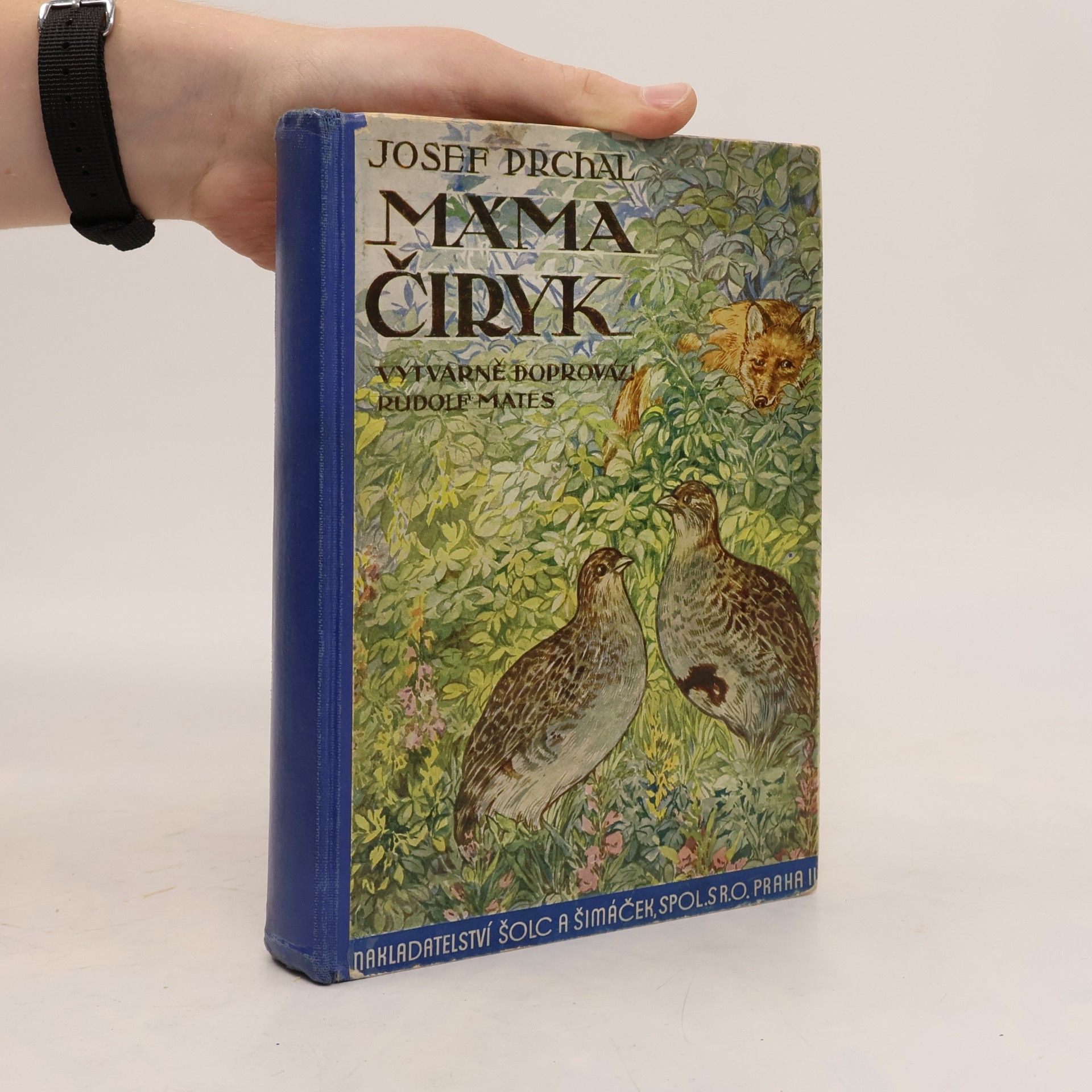 Máma Čiryk
