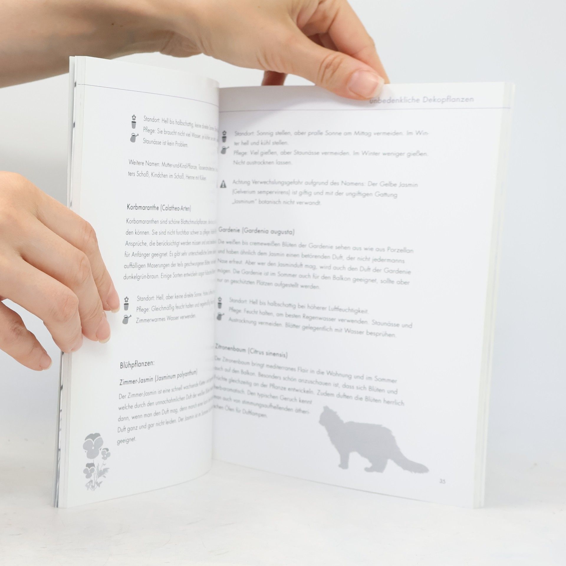 Sabine Ruthenfranz Katzenpflanzen. geeignete Pflanzen finden, Giftpflanzen erkennen, Vergiftungen vermeiden