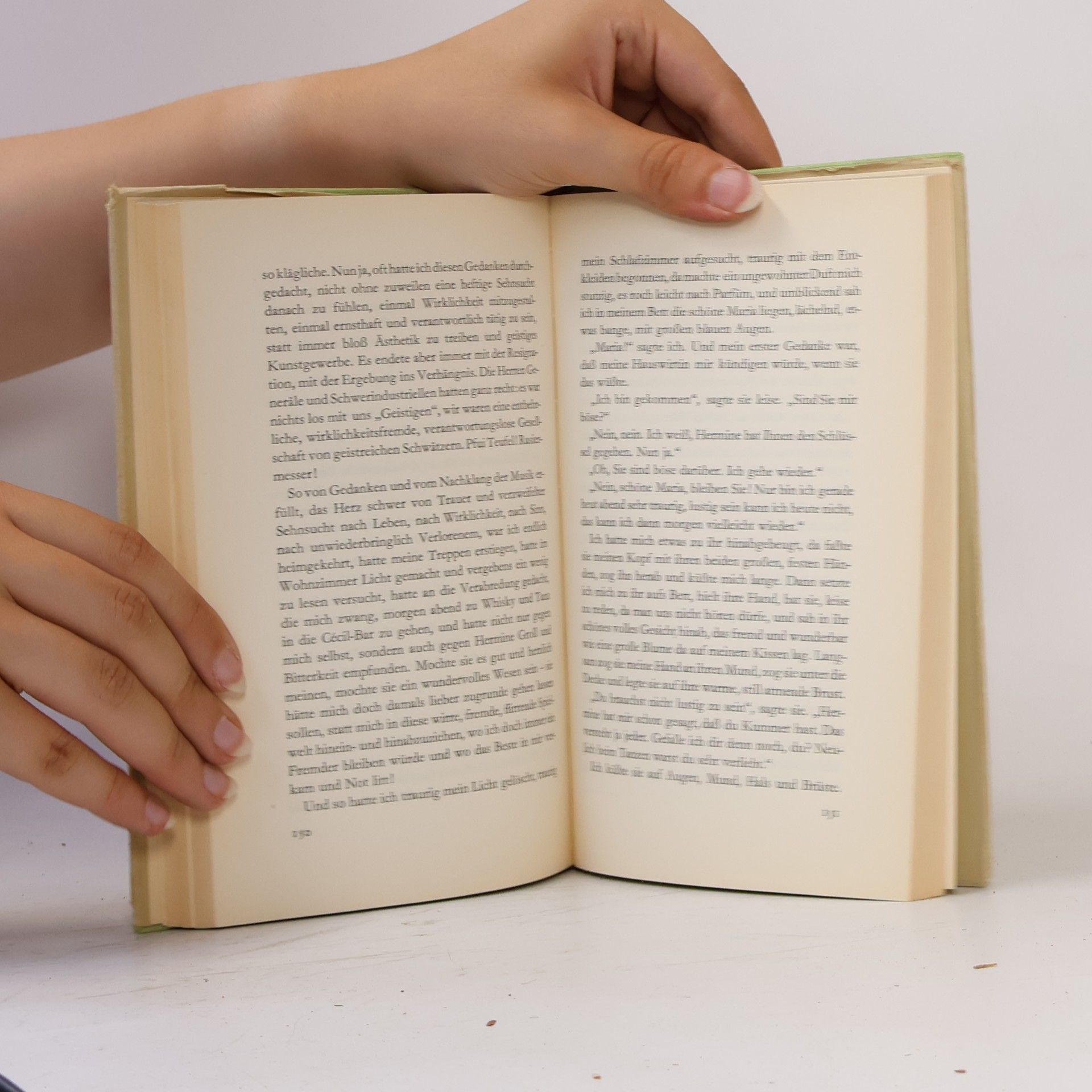 Hermann Hesse Der Steppenwolf